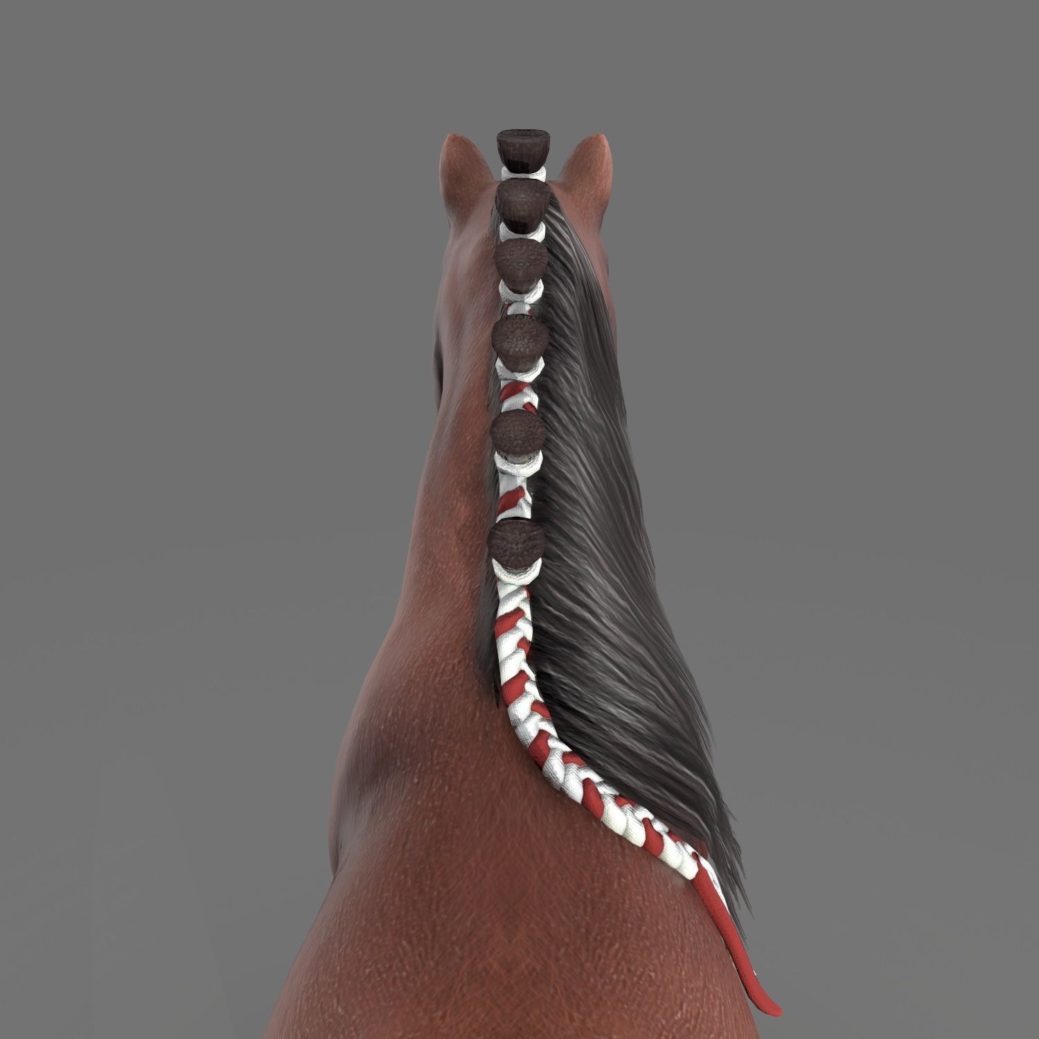 Clydesdale Horse Low Poly Low-poly 3D model_14