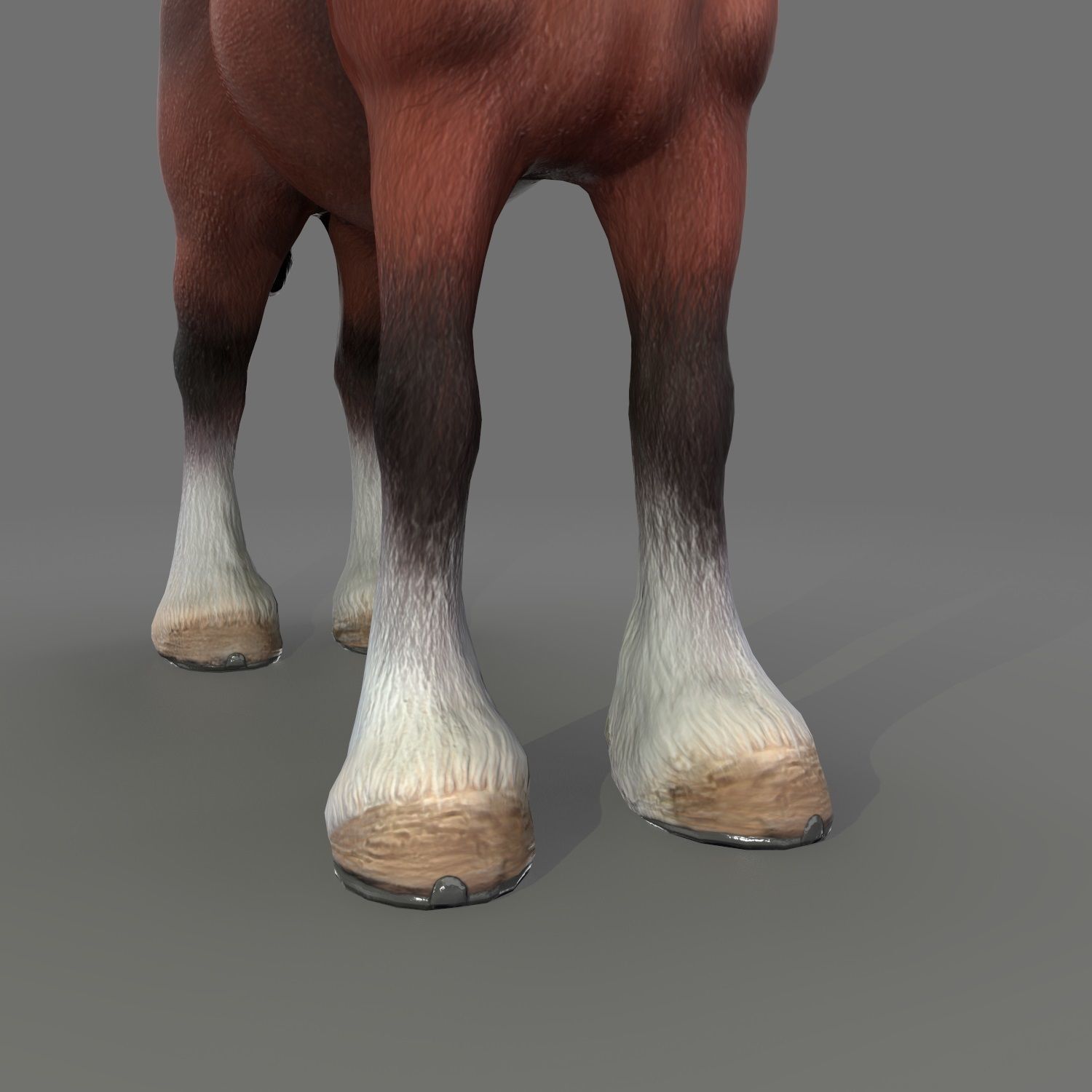 Clydesdale Horse Low Poly Low-poly 3D model_18