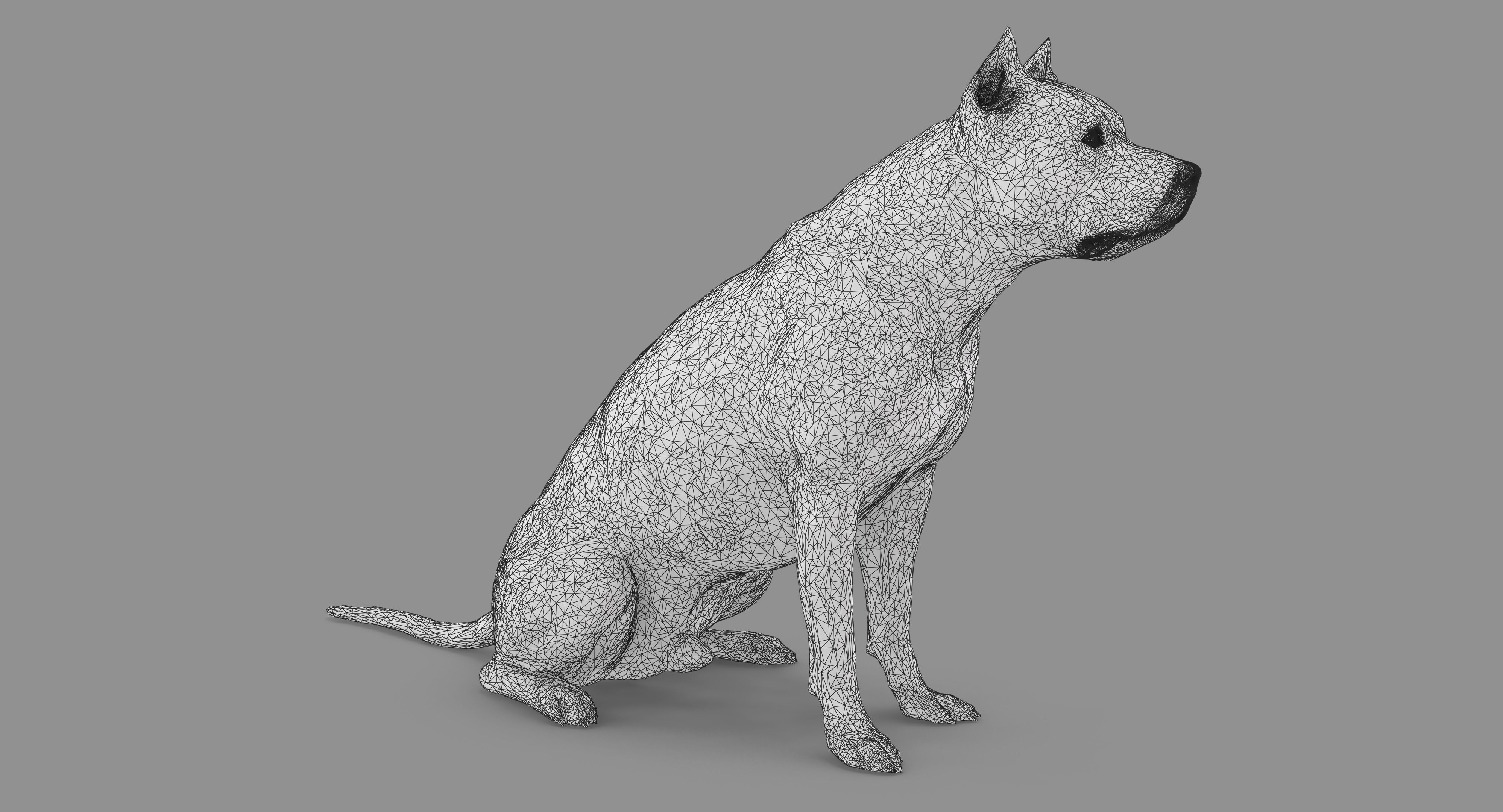 Staffordshire Terrier Dog Low-poly 3D model_54