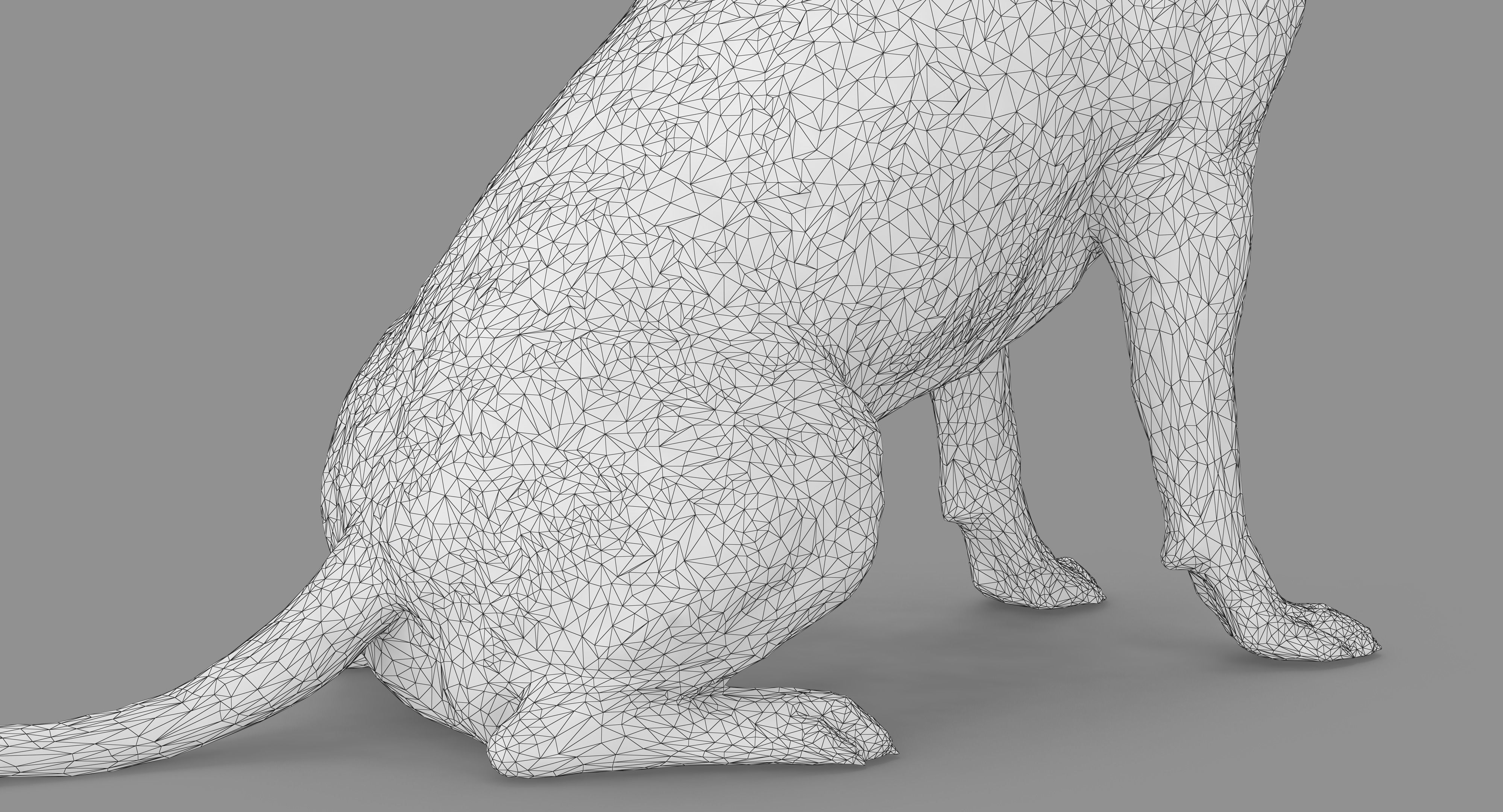 Staffordshire Terrier Dog Low-poly 3D model_26