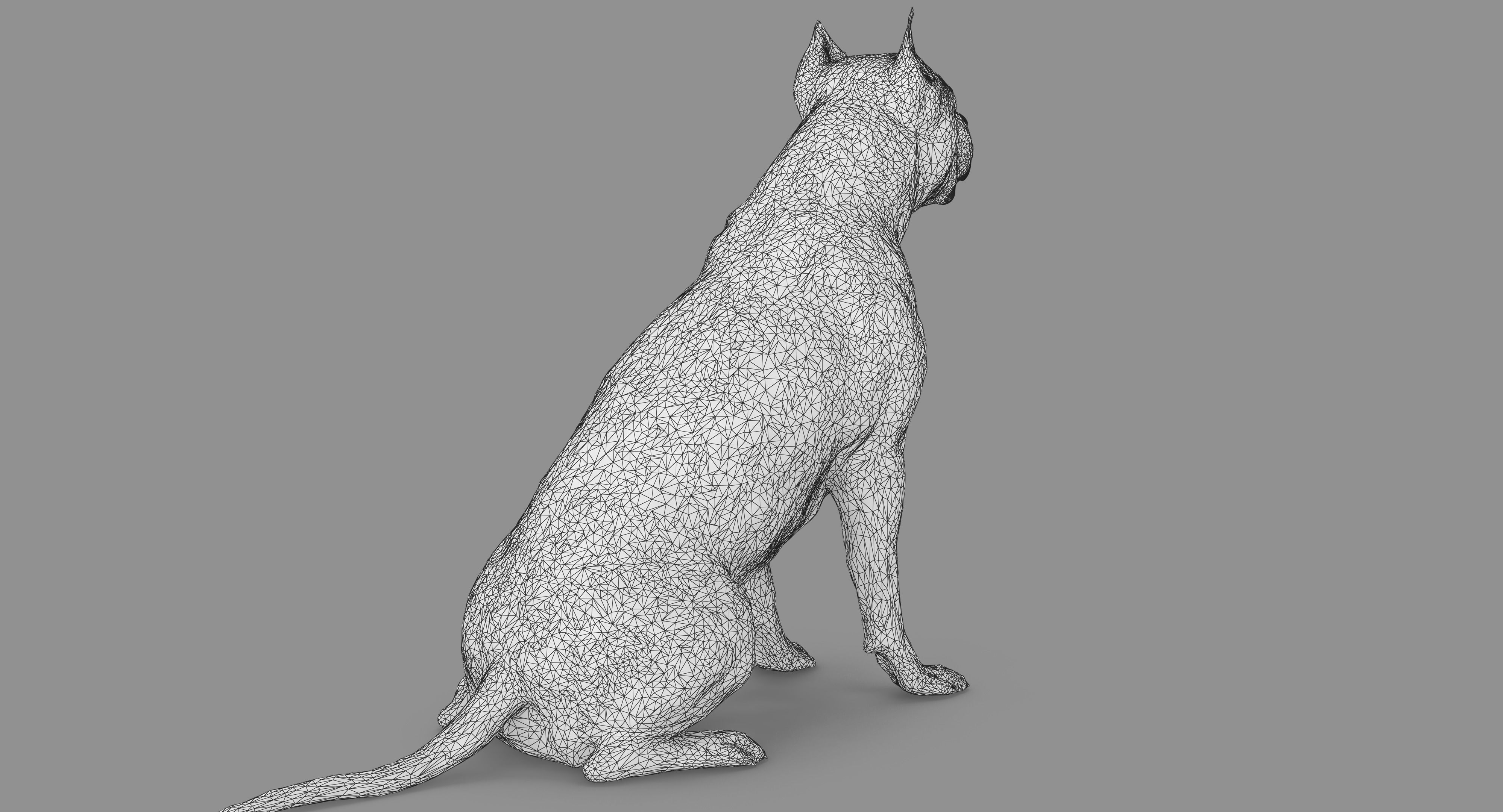 Staffordshire Terrier Dog Low-poly 3D model_64