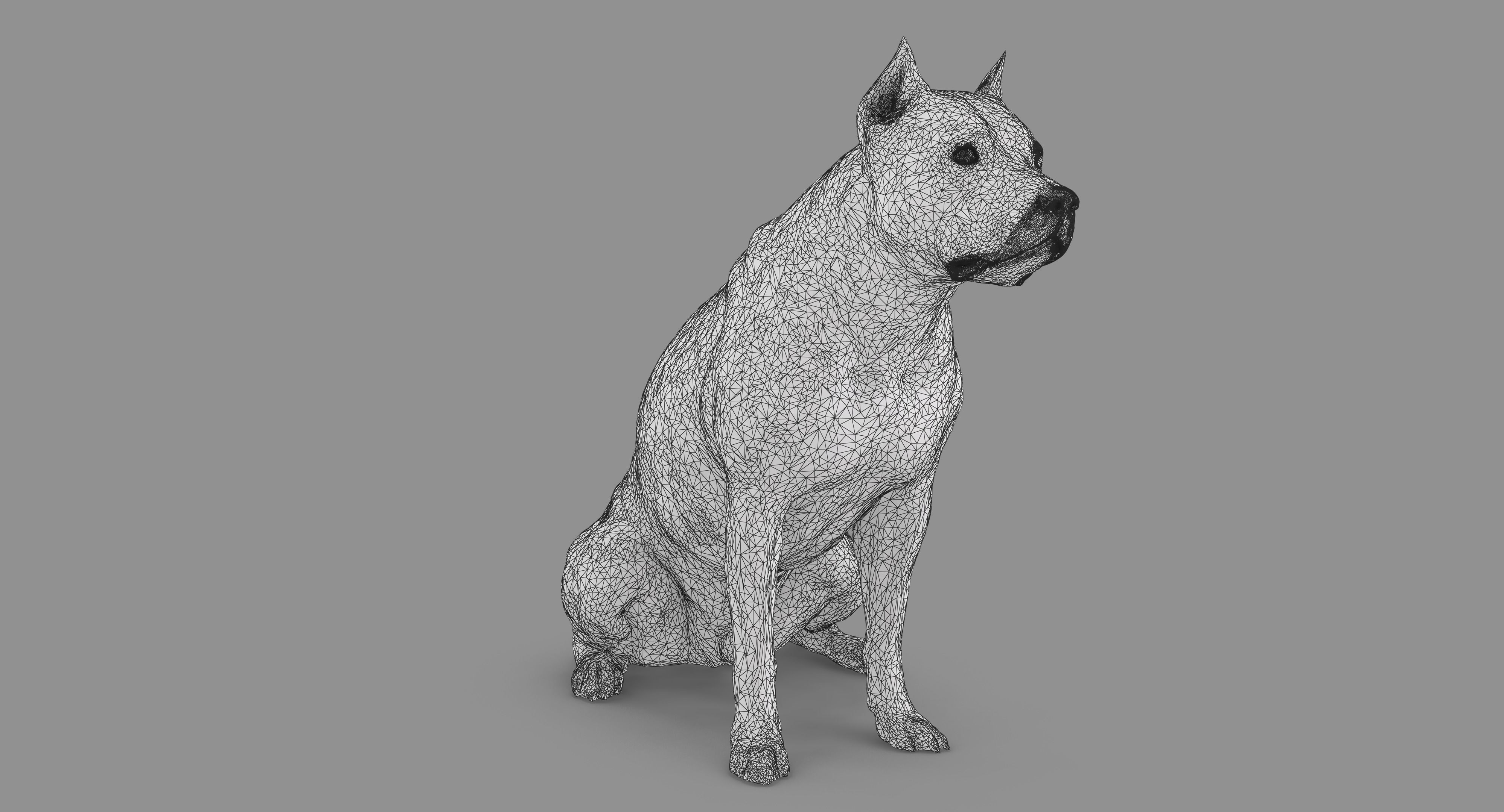 Staffordshire Terrier Dog Low-poly 3D model_50