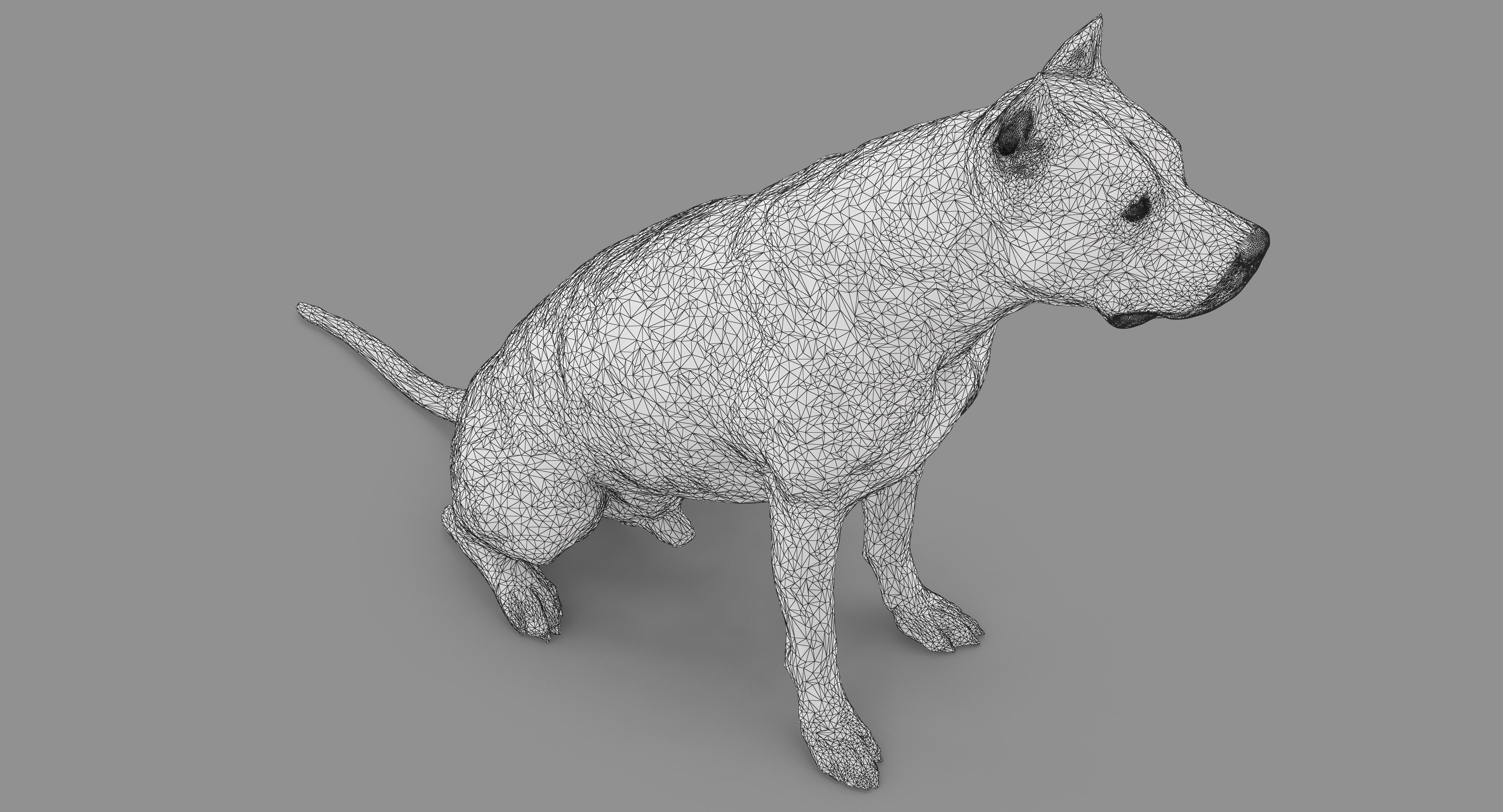 Staffordshire Terrier Dog Low-poly 3D model_24