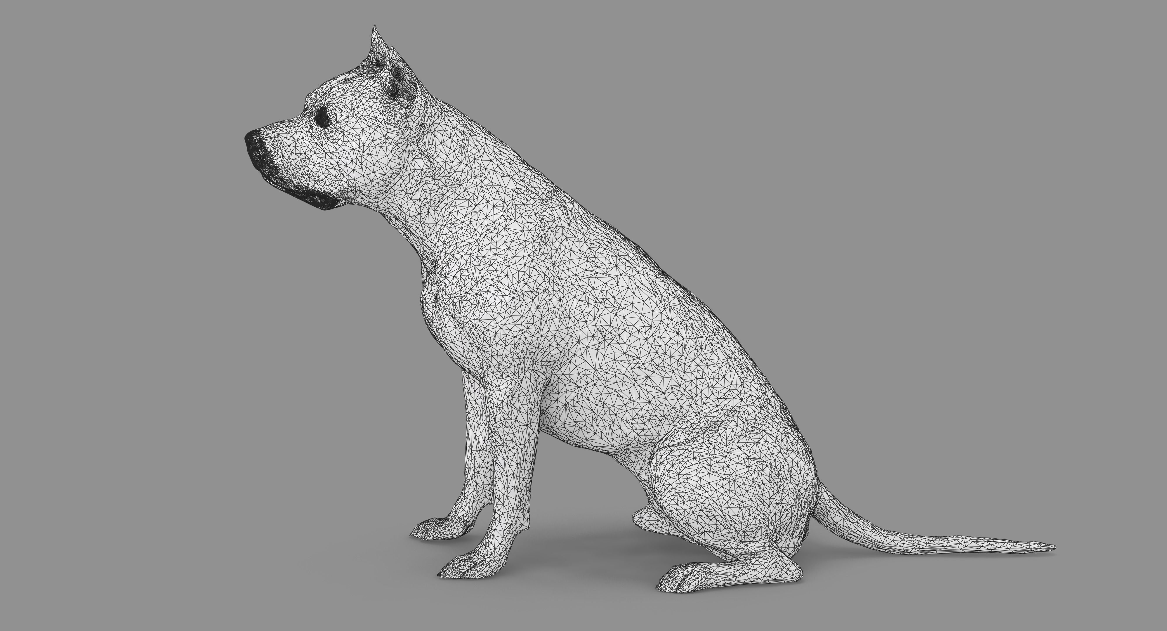 Staffordshire Terrier Dog Low-poly 3D model_82