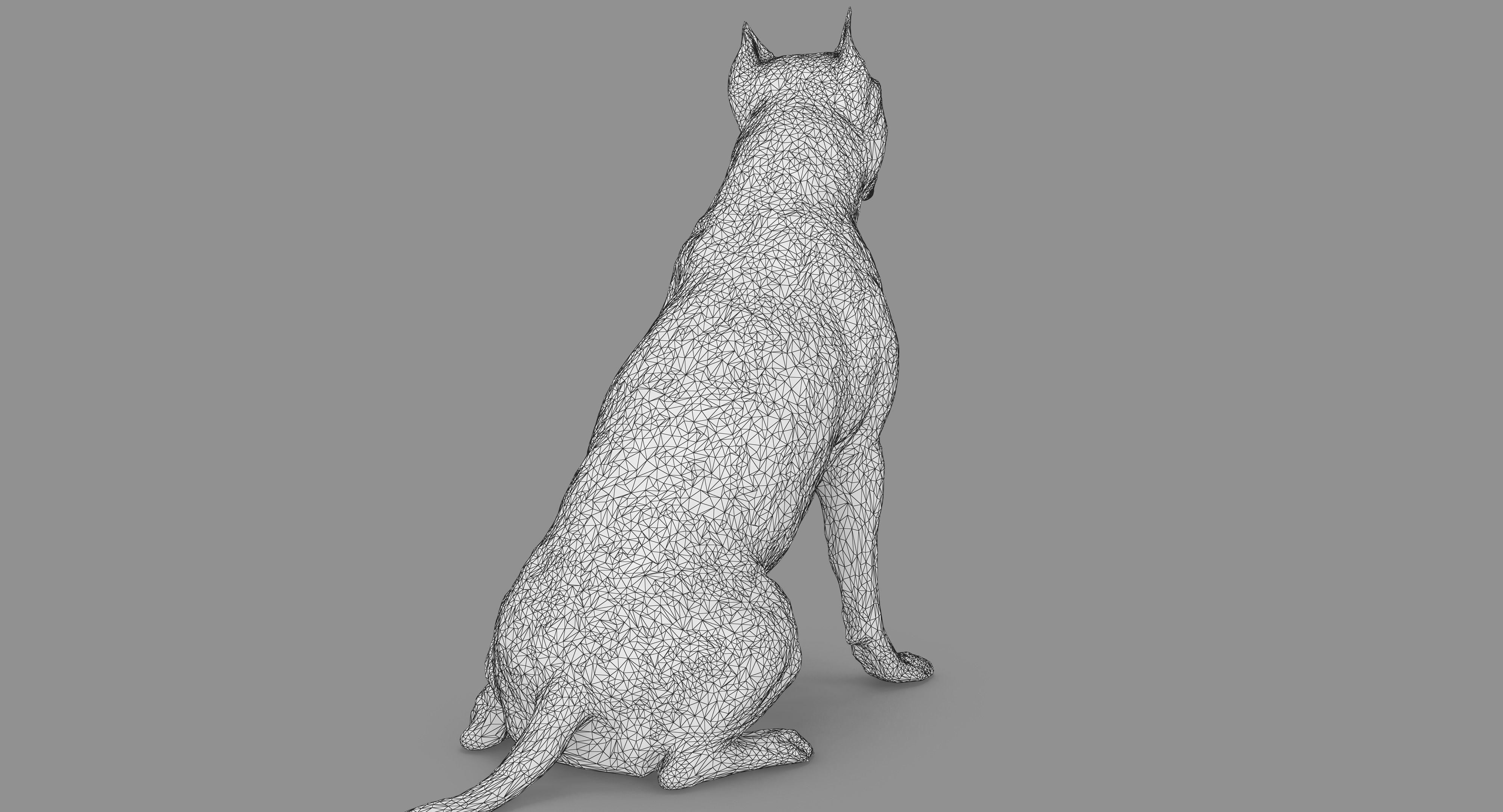 Staffordshire Terrier Dog Low-poly 3D model_66