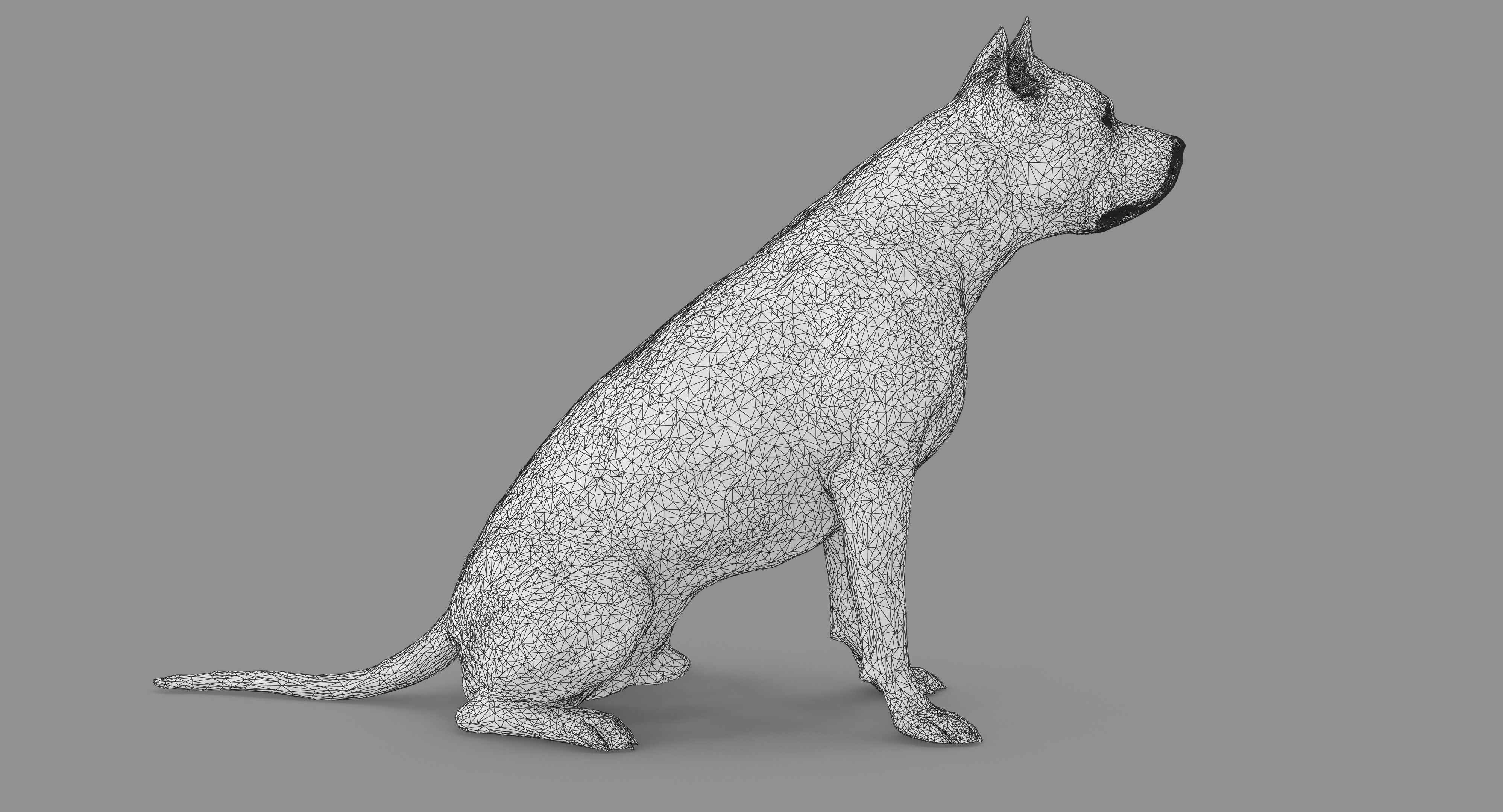 Staffordshire Terrier Dog Low-poly 3D model_58