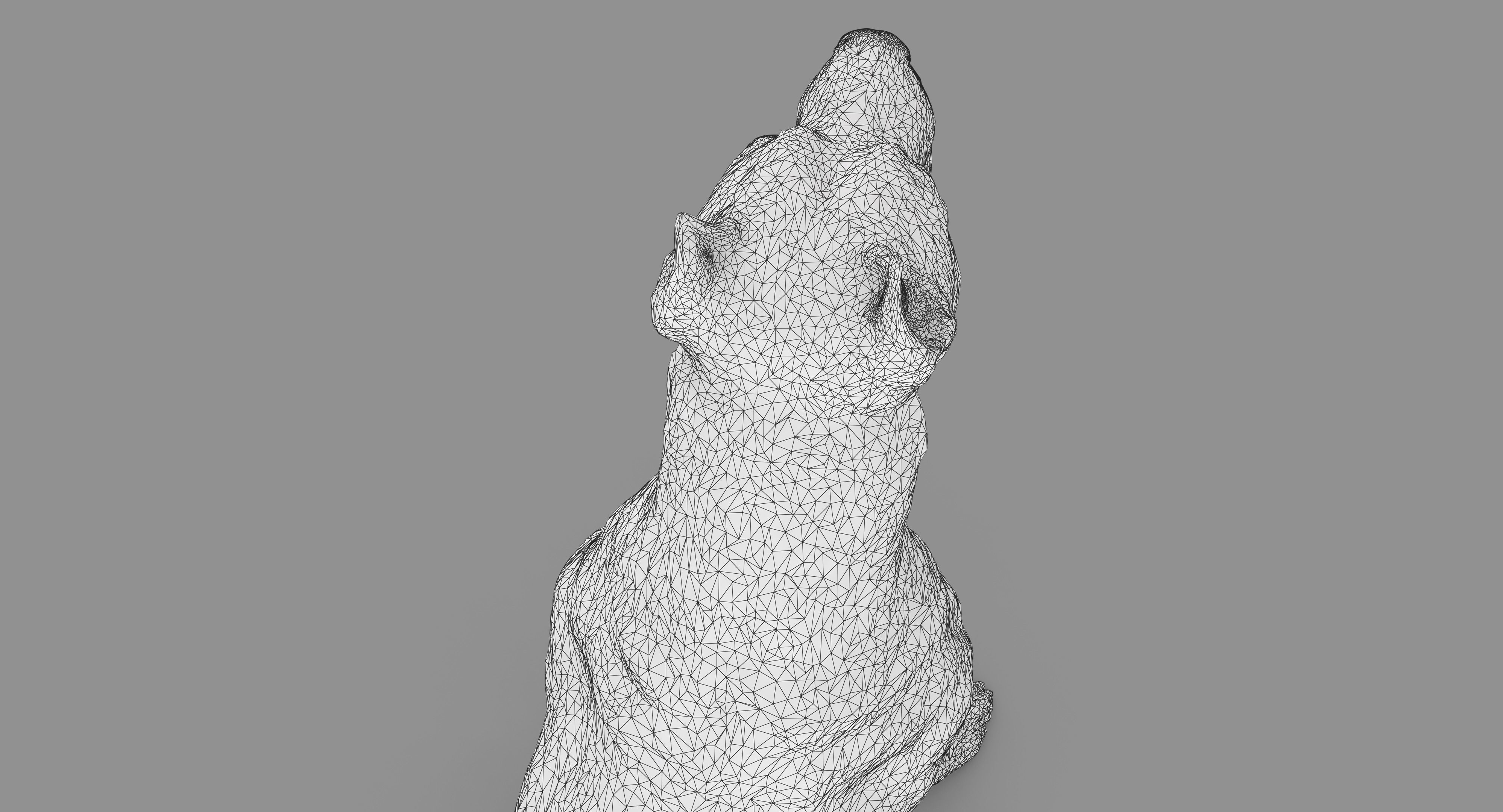 Staffordshire Terrier Dog Low-poly 3D model_30