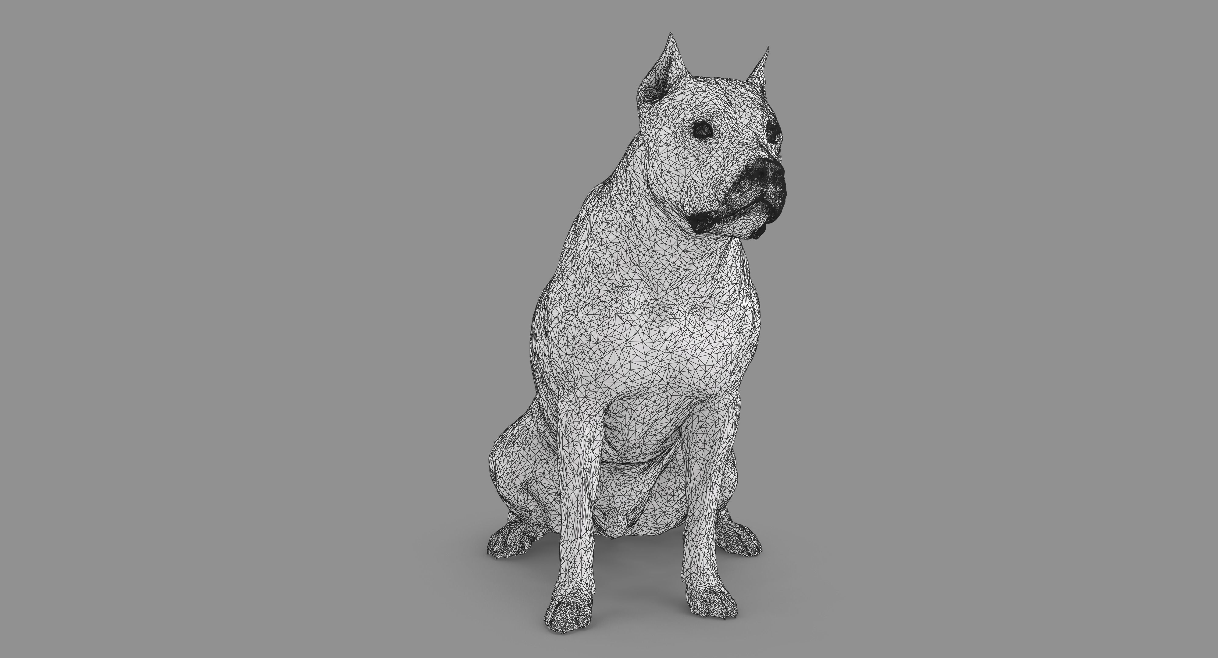Staffordshire Terrier Dog Low-poly 3D model_48