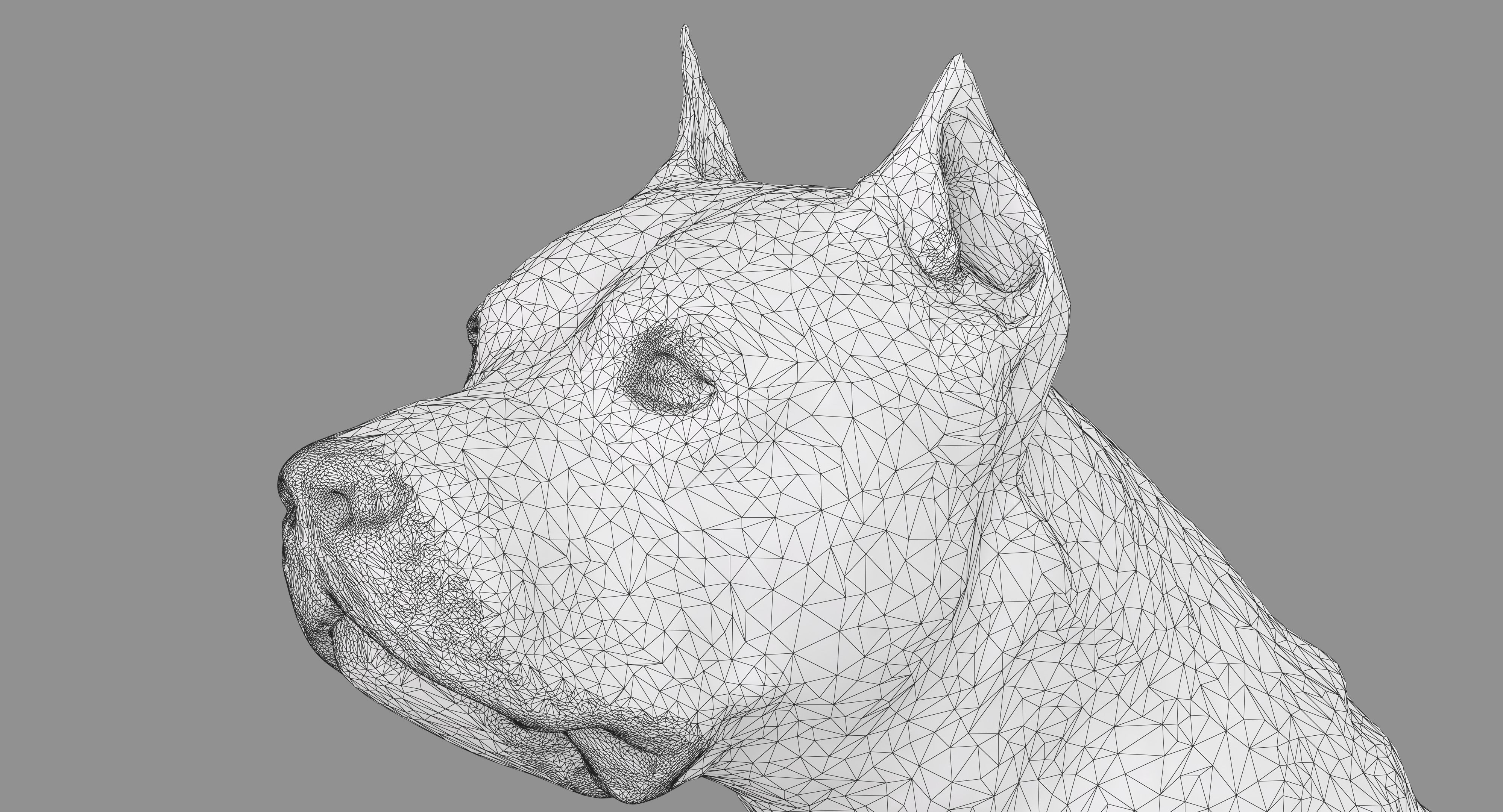 Staffordshire Terrier Dog Low-poly 3D model_8