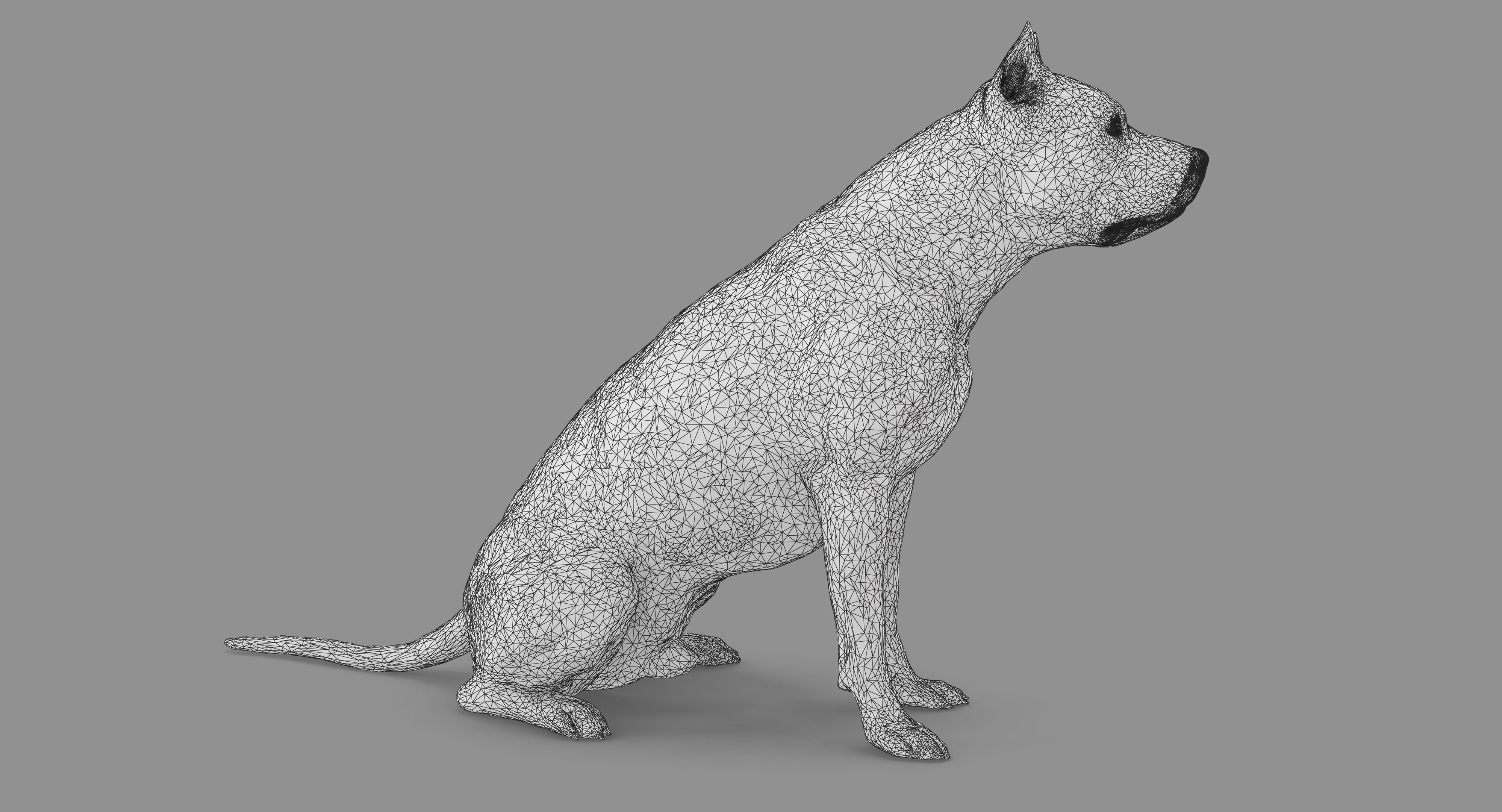 Staffordshire Terrier Dog Low-poly 3D model_56