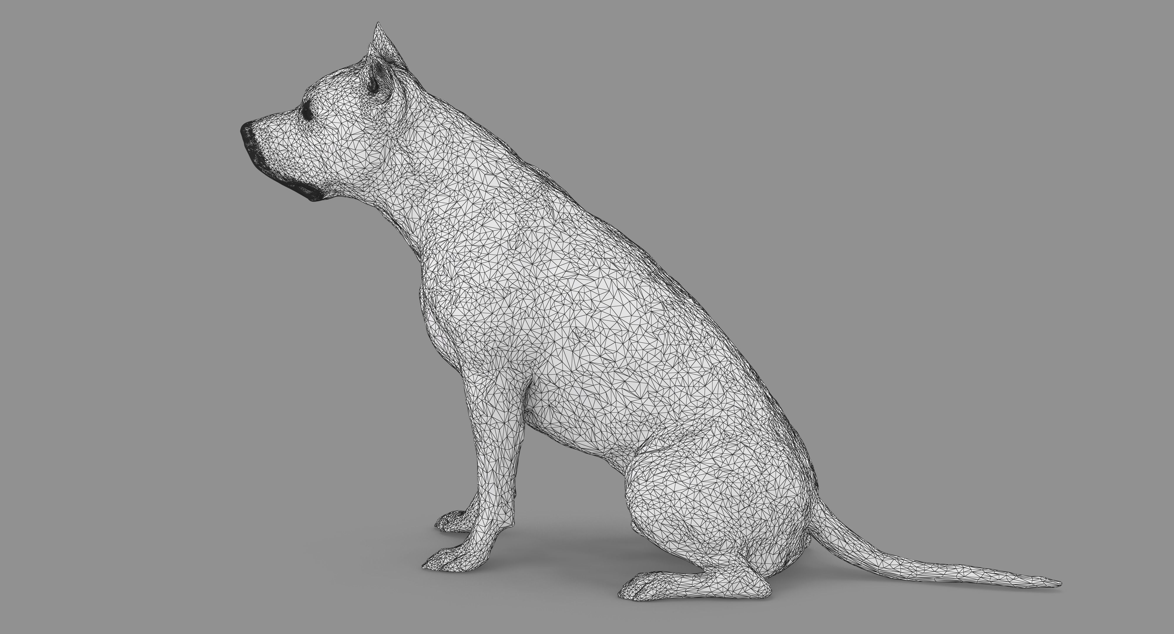 Staffordshire Terrier Dog Low-poly 3D model_80