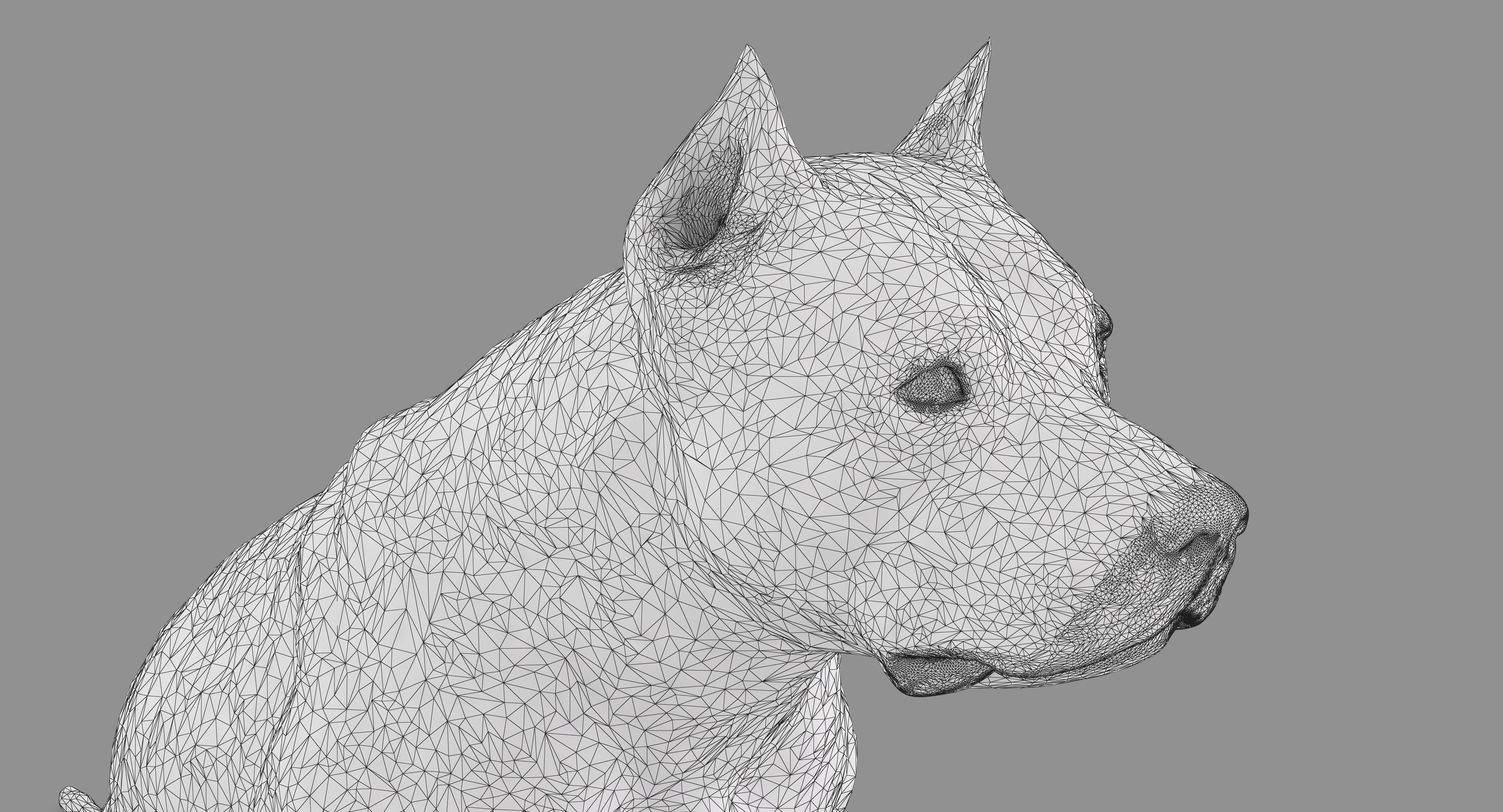 Staffordshire Terrier Dog Low-poly 3D model_20