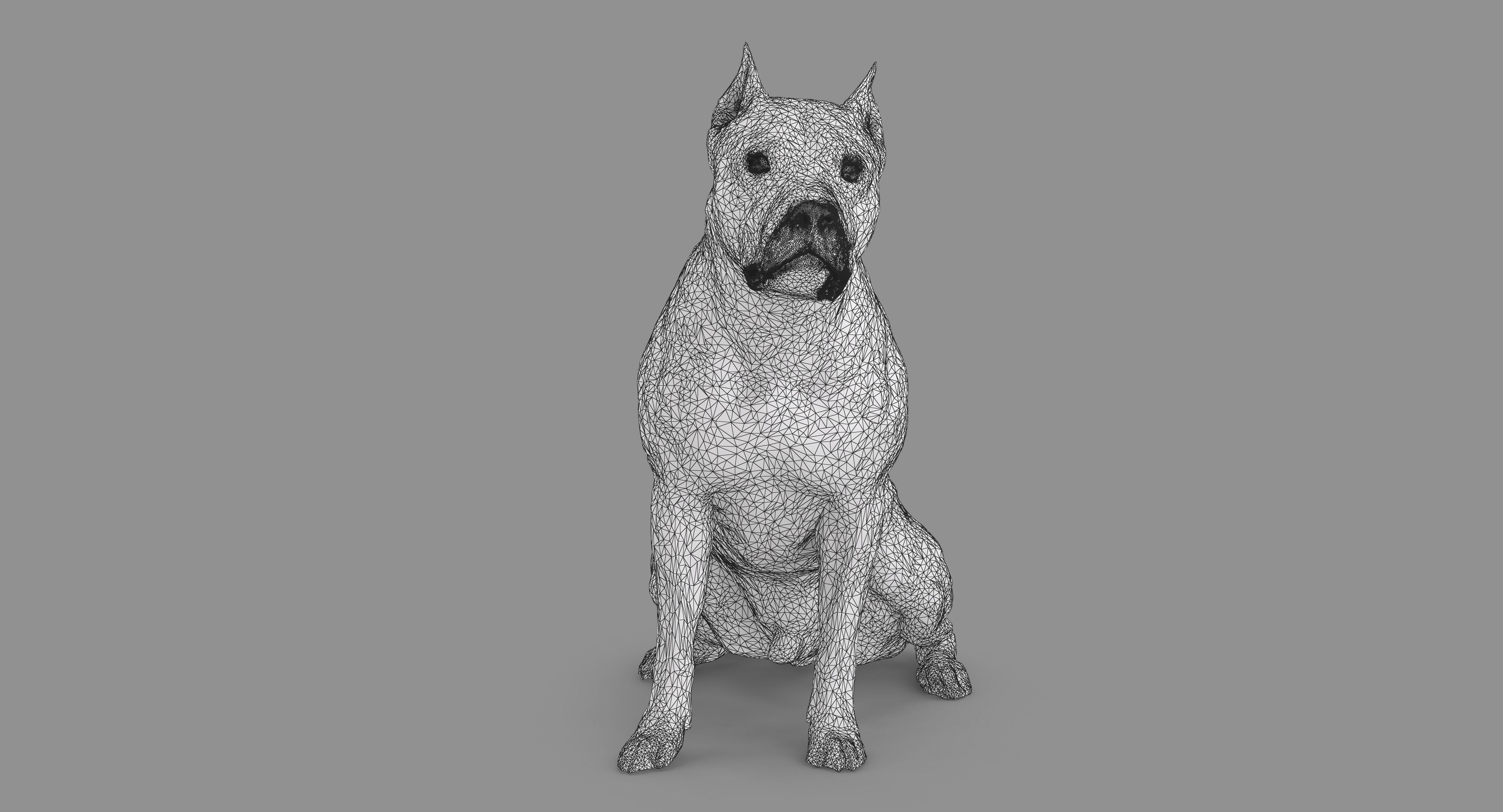 Staffordshire Terrier Dog Low-poly 3D model_46