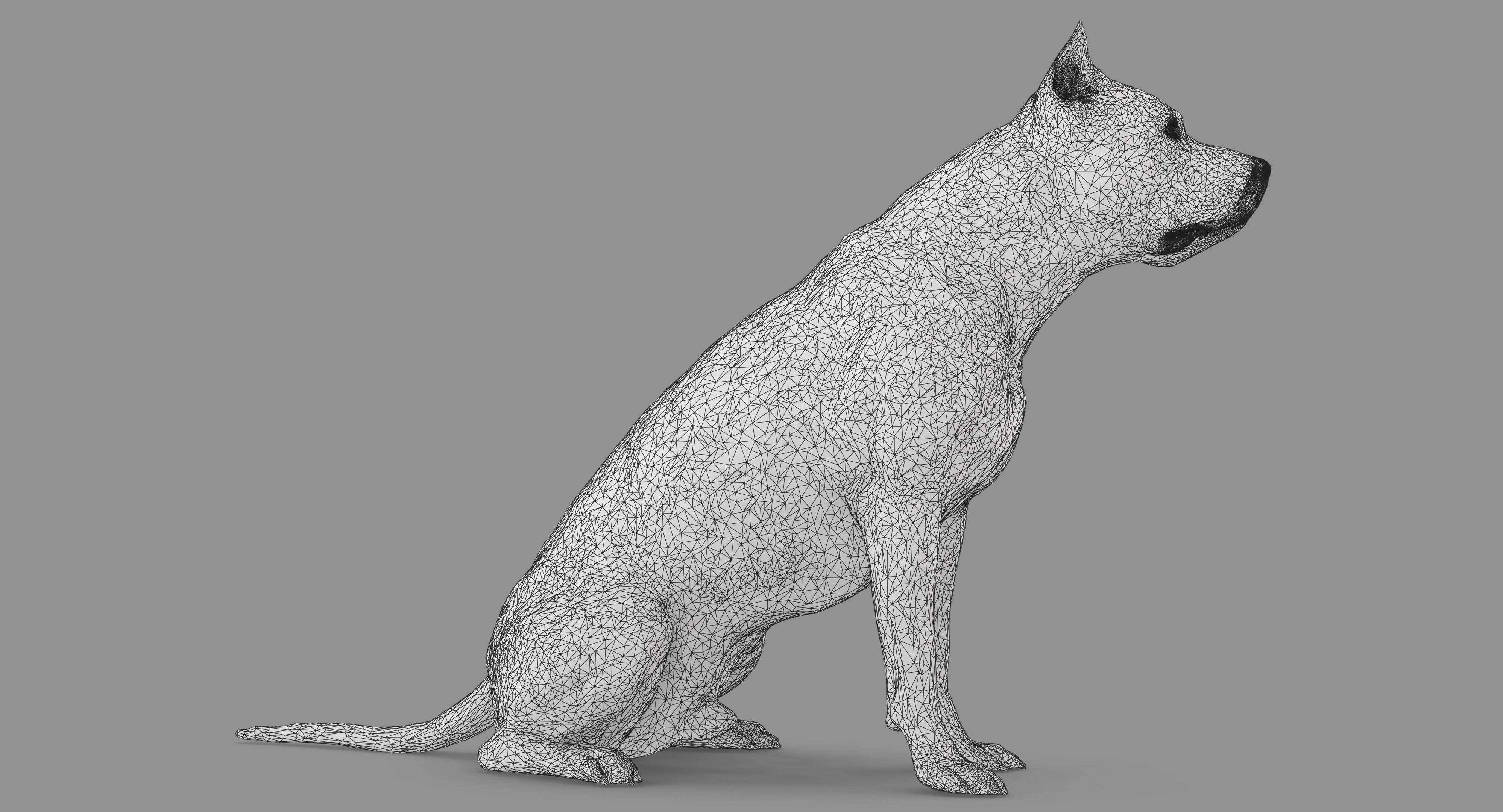 Staffordshire Terrier Dog Low-poly 3D model_22