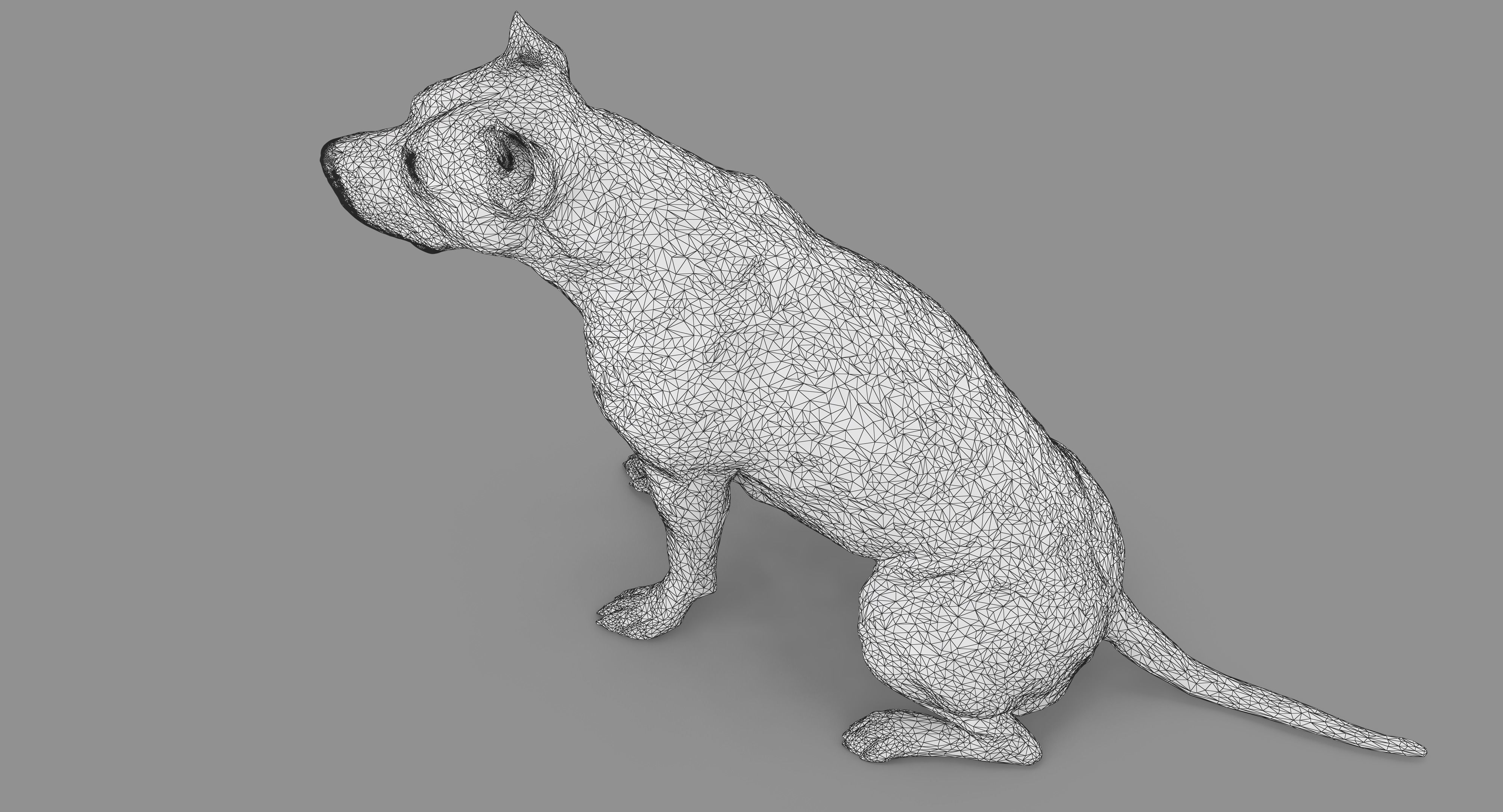 Staffordshire Terrier Dog Low-poly 3D model_42