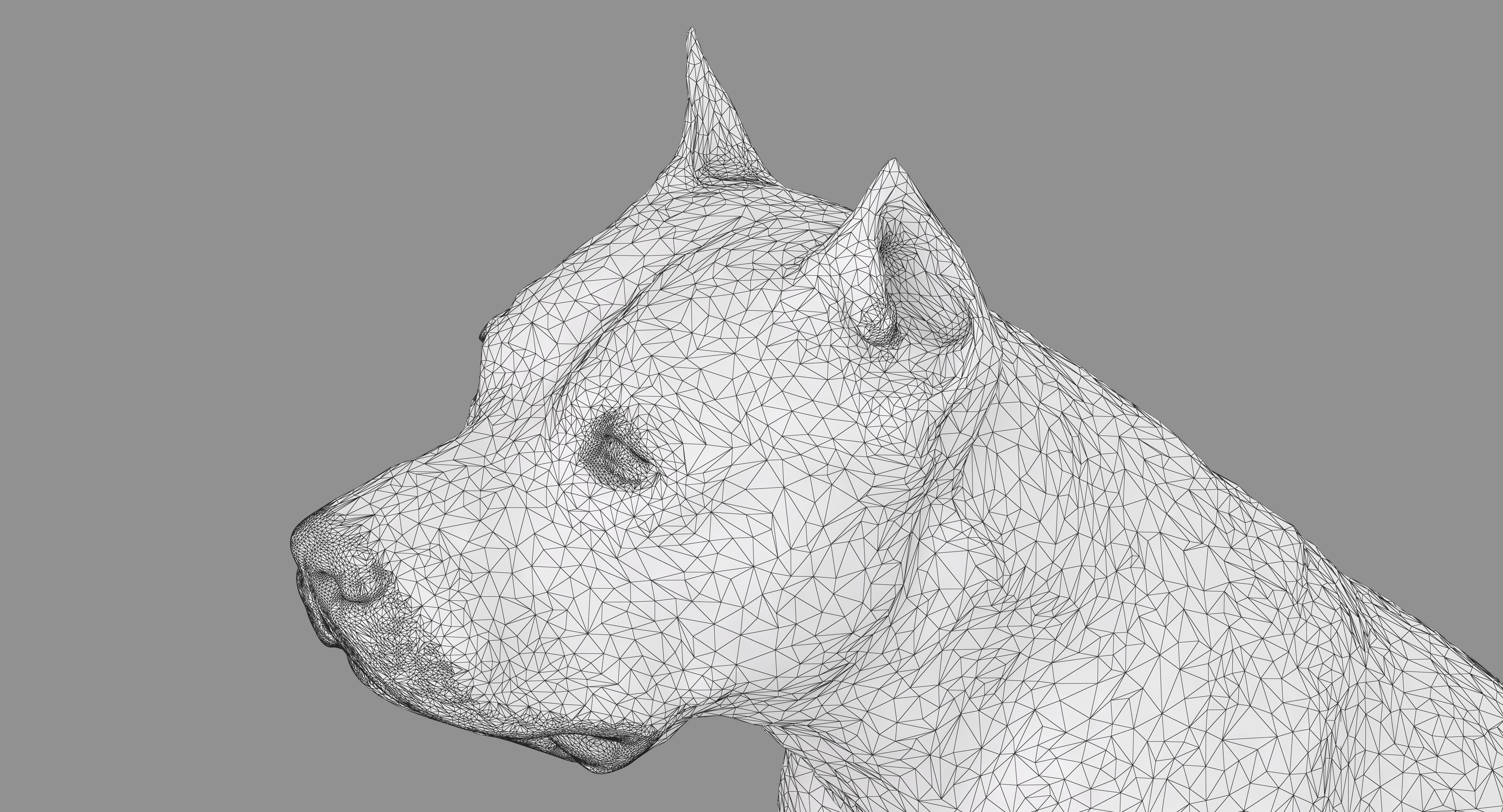 Staffordshire Terrier Dog Low-poly 3D model_14