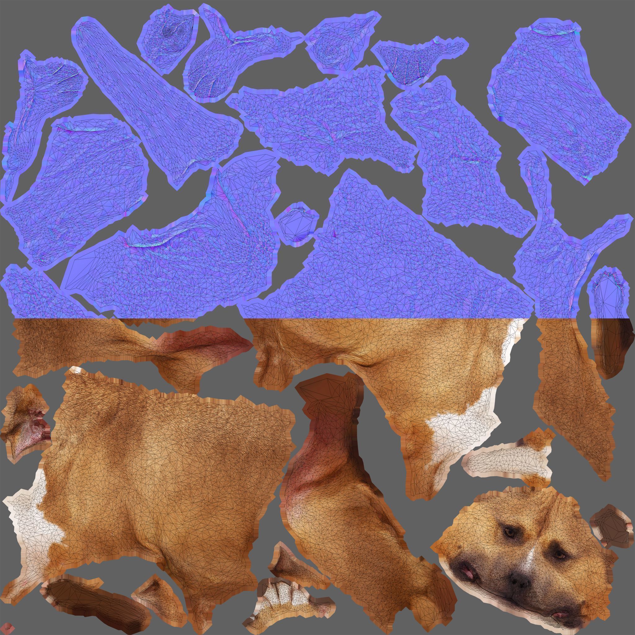Staffordshire Terrier Dog Low-poly 3D model_6