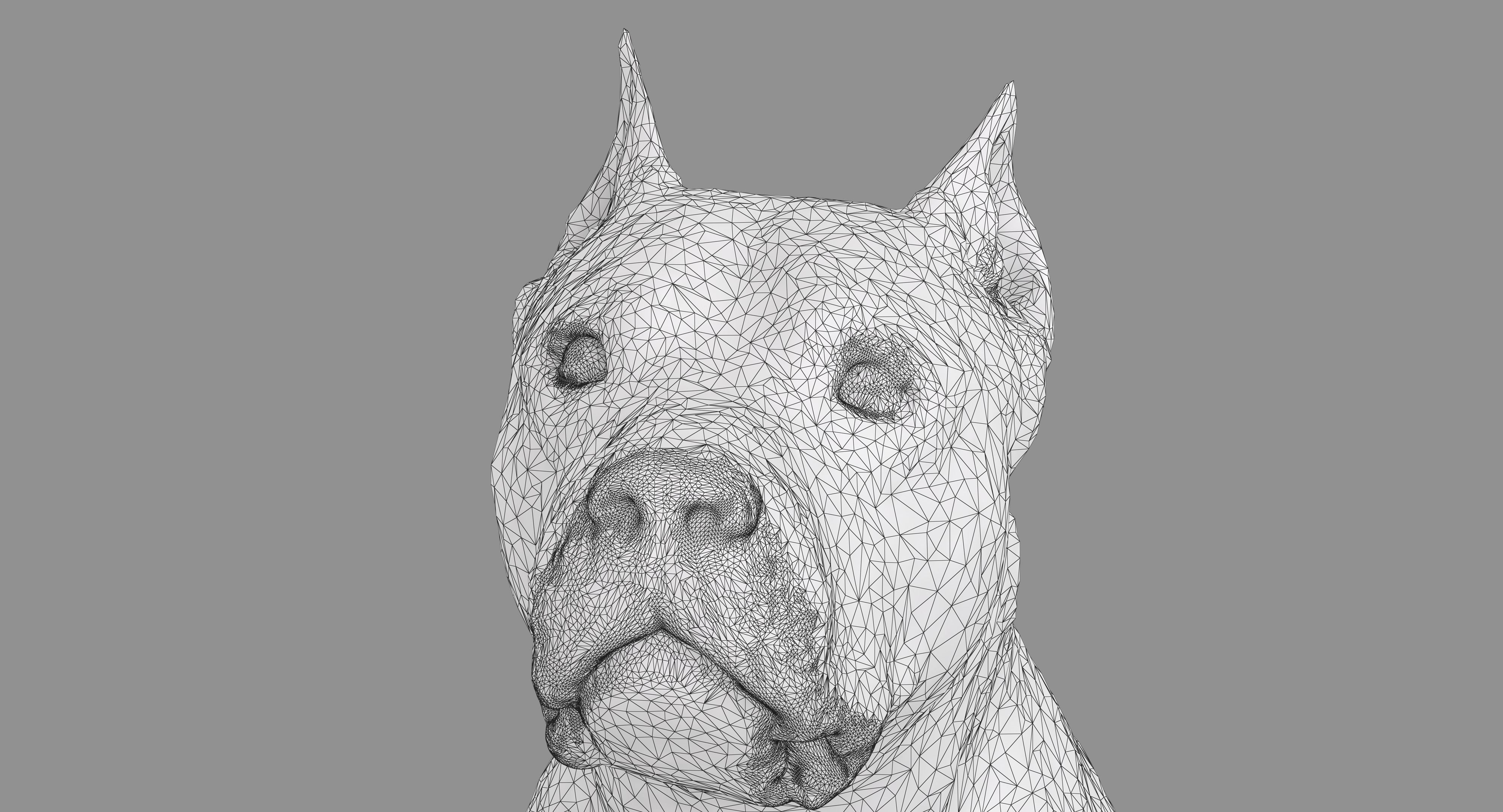 Staffordshire Terrier Dog Low-poly 3D model_10