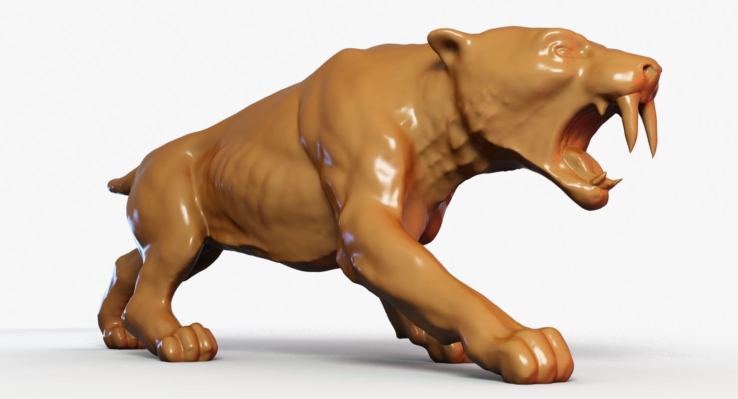 Sabre Tooth Tiger 3D model_3