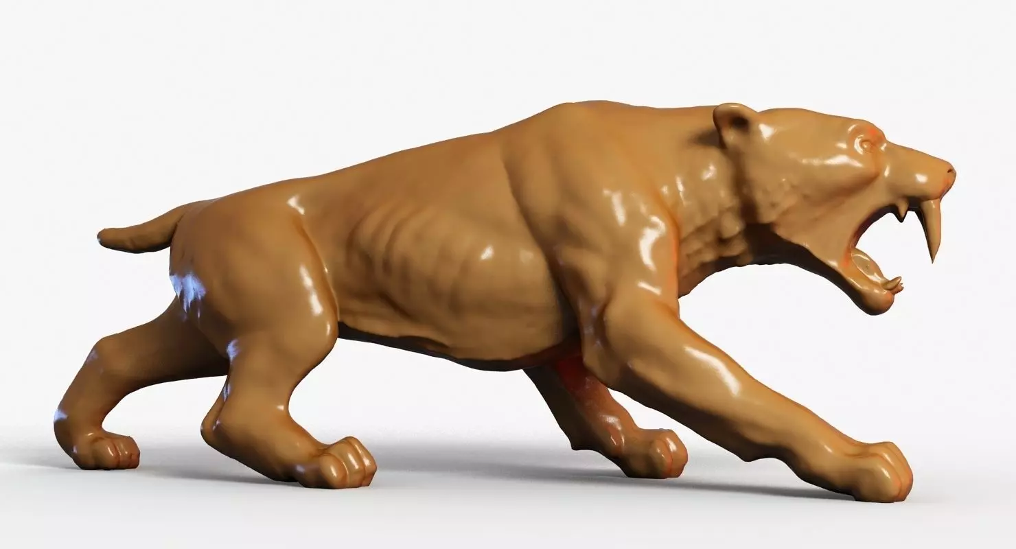 Sabre Tooth Tiger 3D model_0