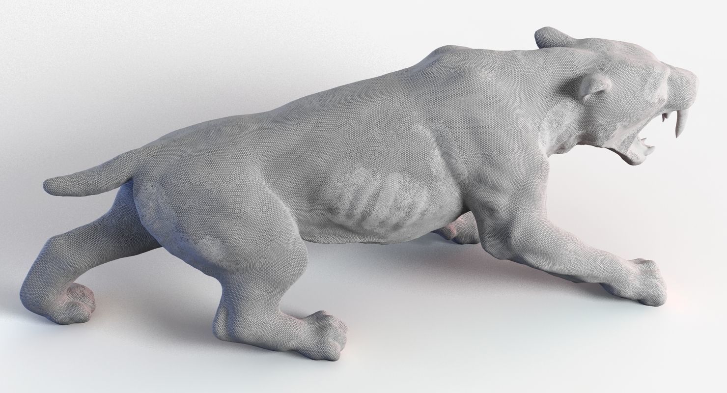 Sabre Tooth Tiger 3D model_6