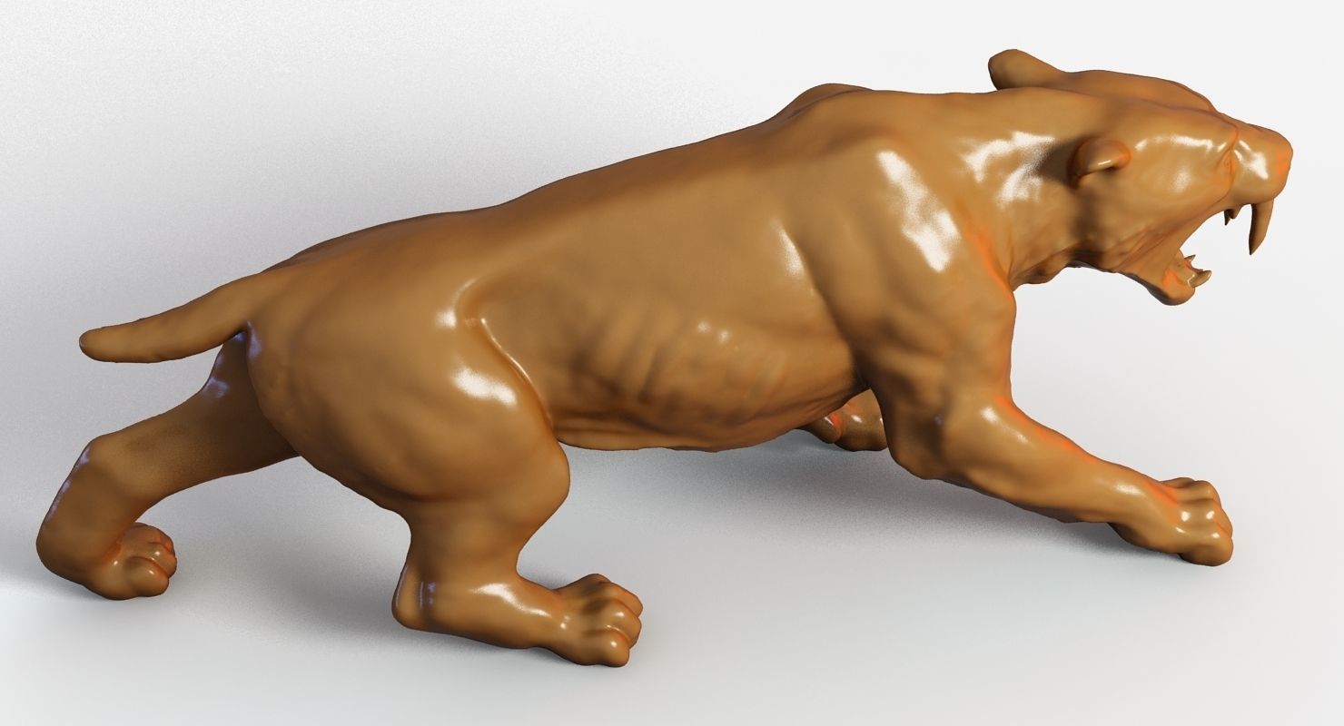 Sabre Tooth Tiger 3D model_2