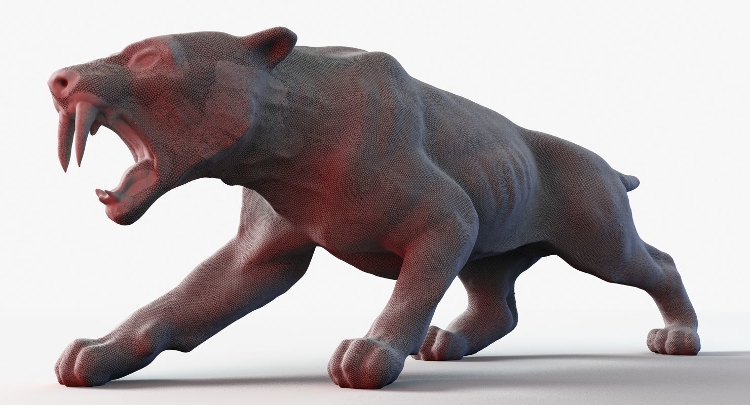 Sabre Tooth Tiger 3D model_8