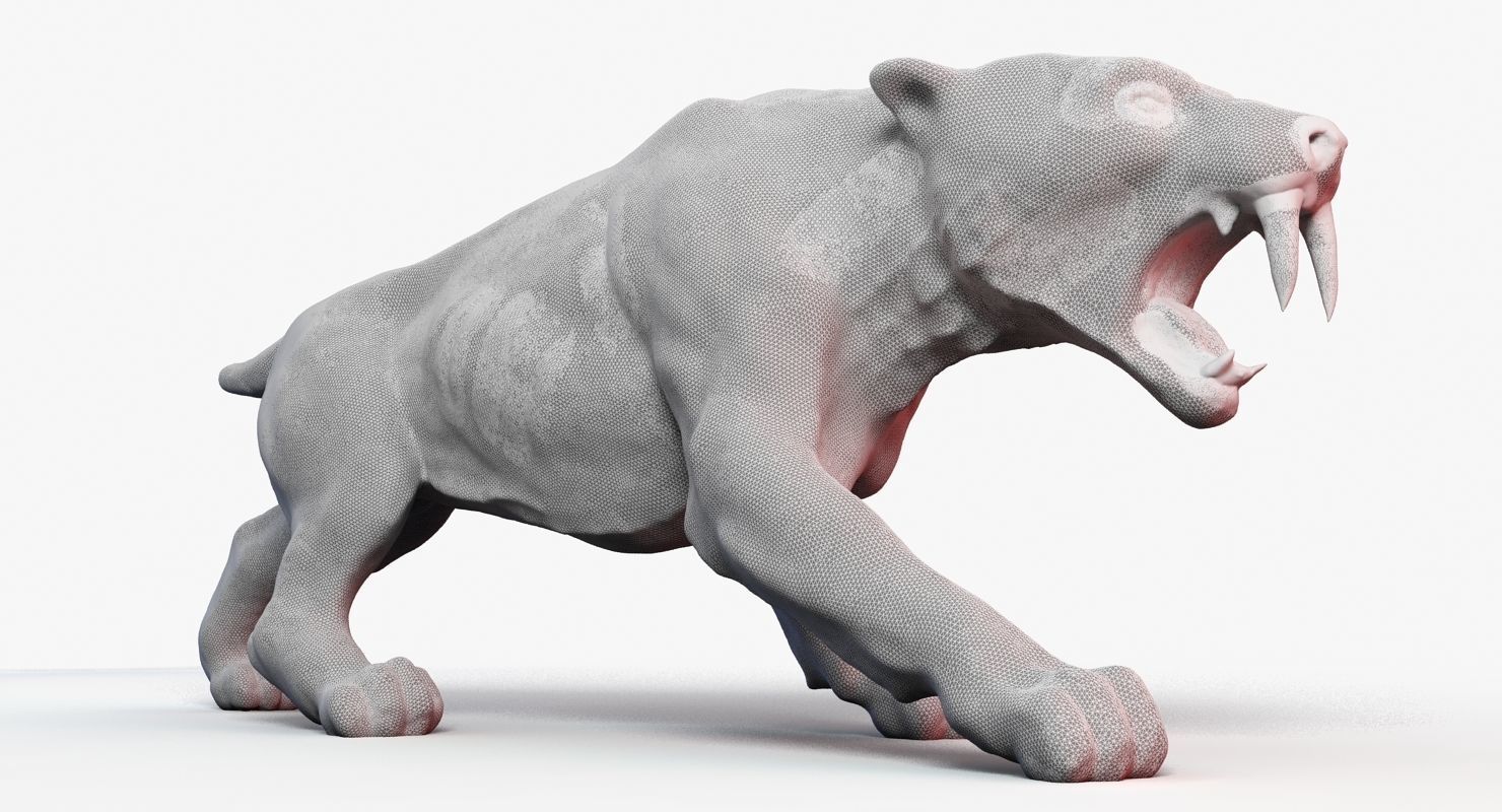 Sabre Tooth Tiger 3D model_7