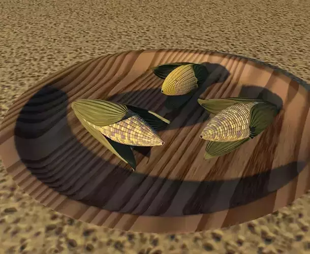 sun baking colorful corn grains with wooden plate burnt soil