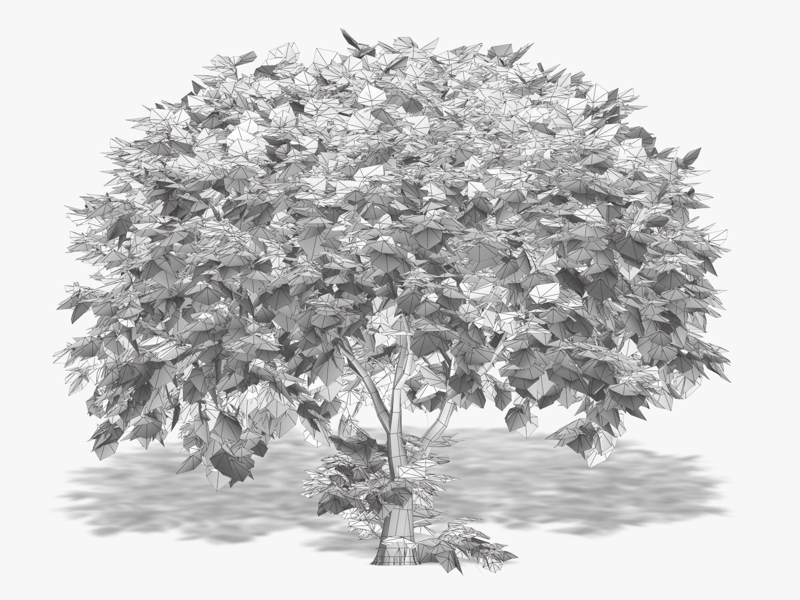 Apple tree 3D model_5