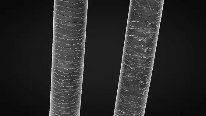 Damaged hair cuticle layer and Healthy hair cuticle layer