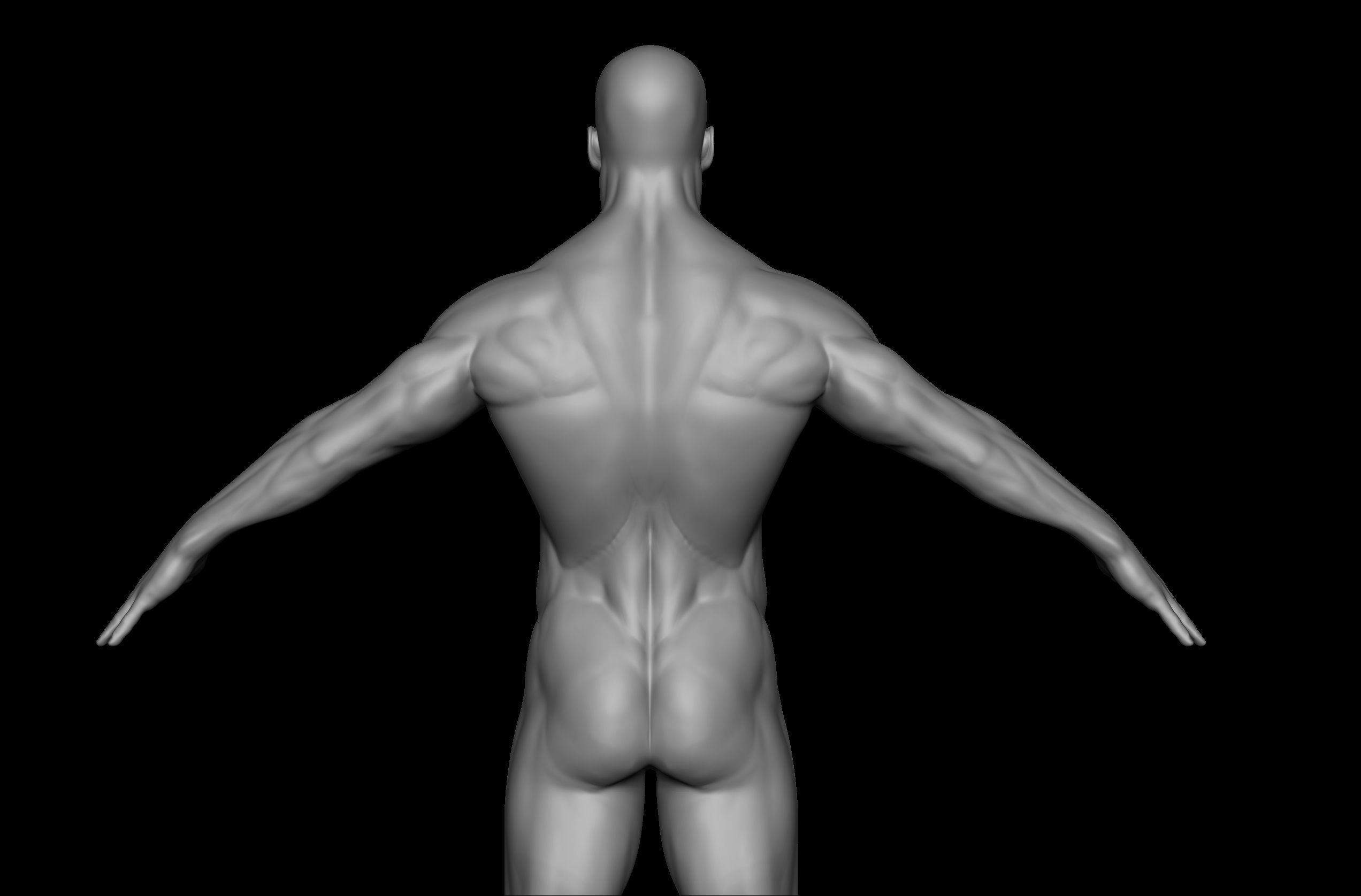 Male 3D Basemesh Model Low-poly 3D model_4