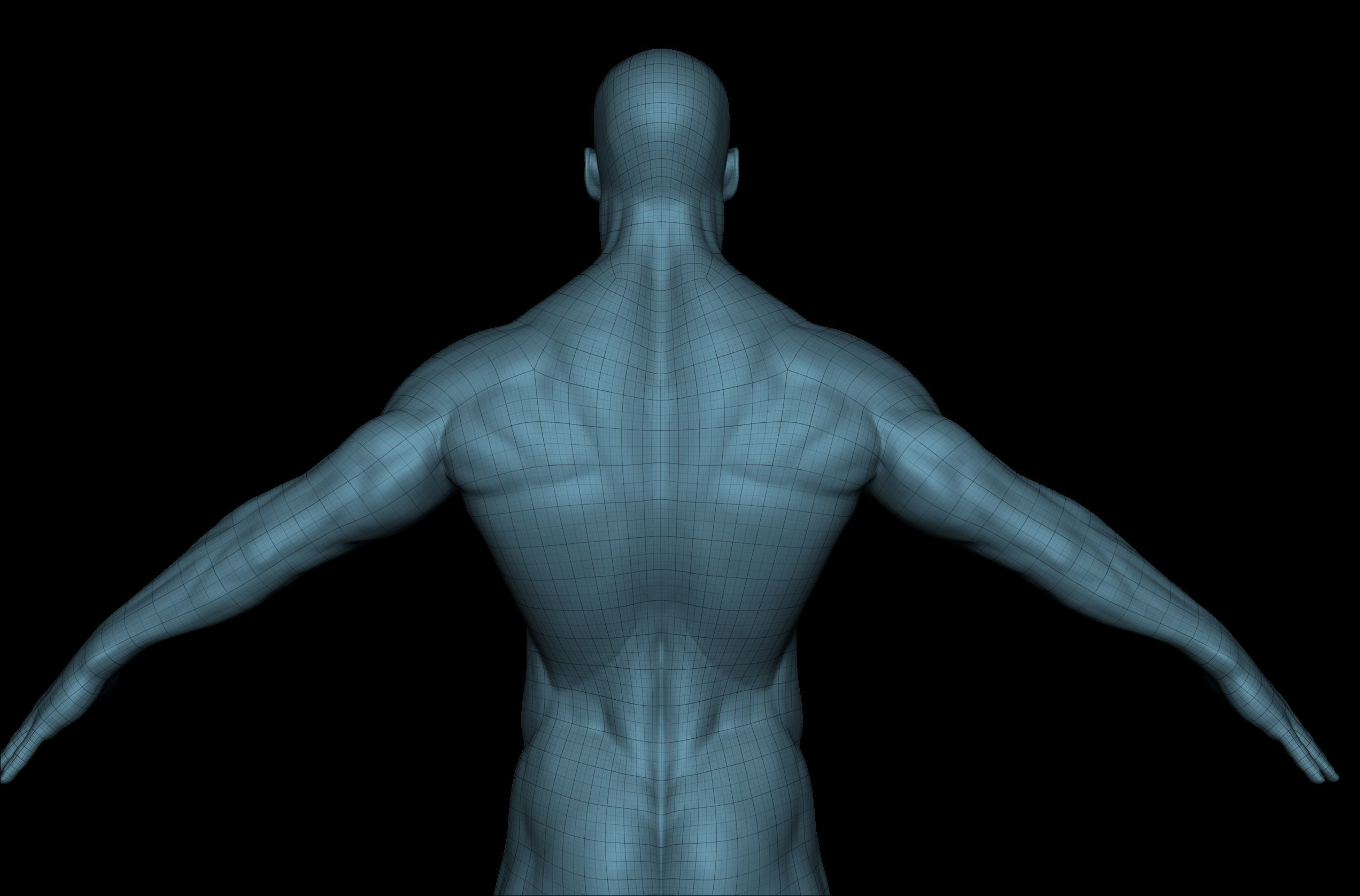 Male 3D Basemesh Model Low-poly 3D model_9
