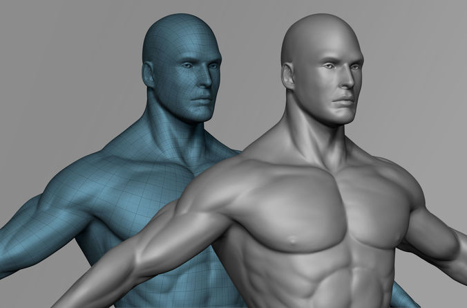 Male 3D Basemesh Model Low-poly 3D model