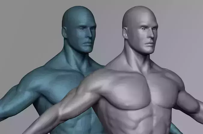 Male 3D Basemesh Model Low-poly 3D model