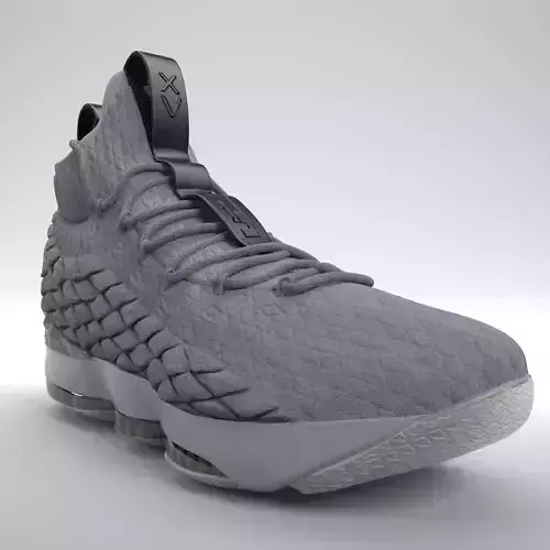 Nike LeBron 15 Basketball PBR