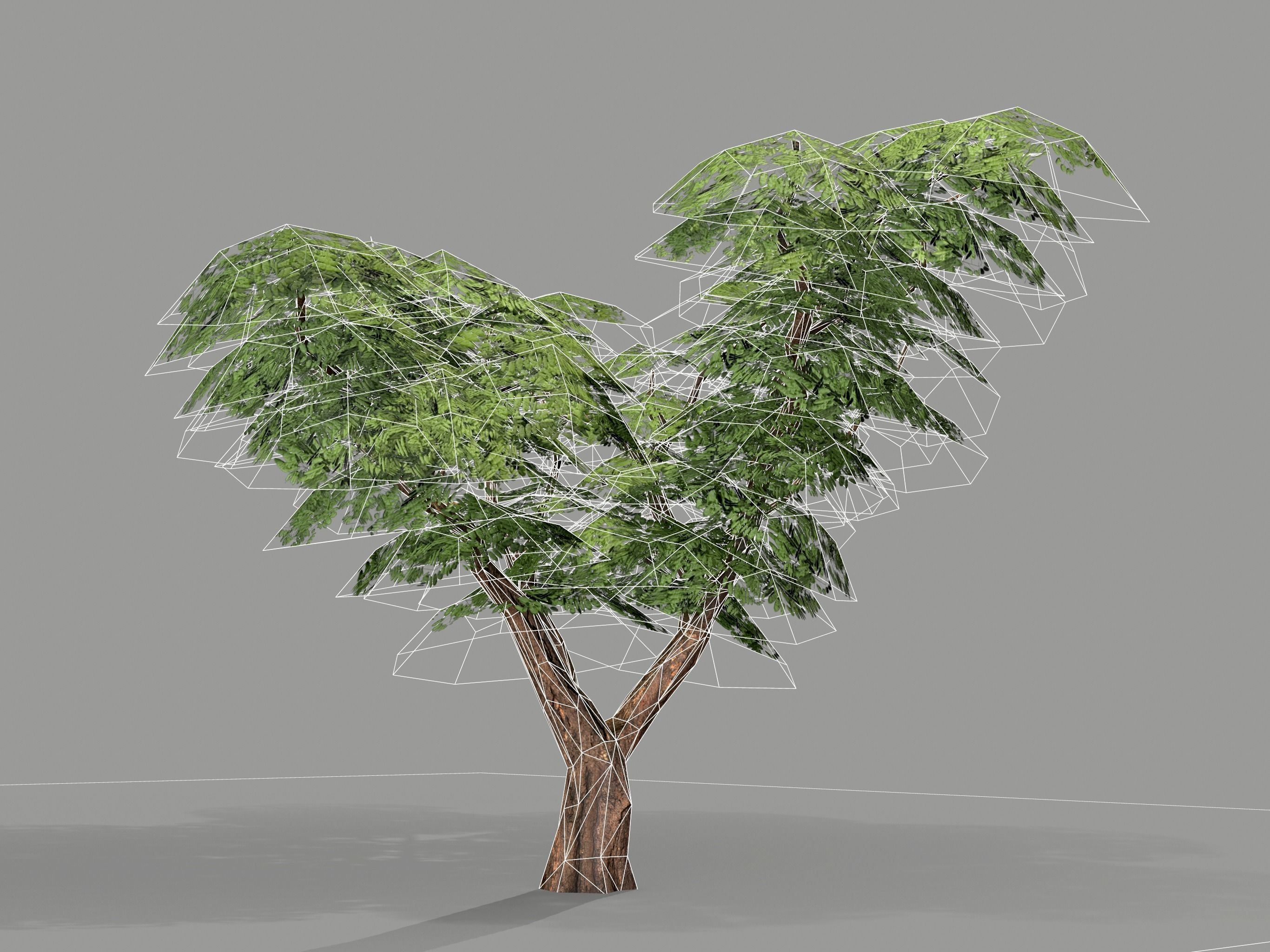 Ucla Tree 2 Variations Low Poly Low-poly 3D model_11