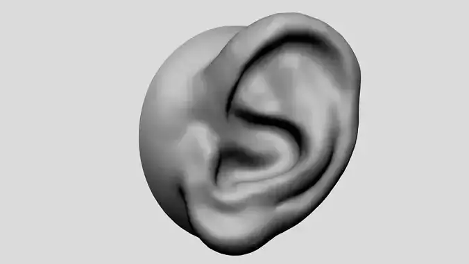 Ear v2 3D model