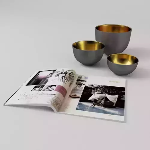 Bowls and Magazine - FREE Free 3D model