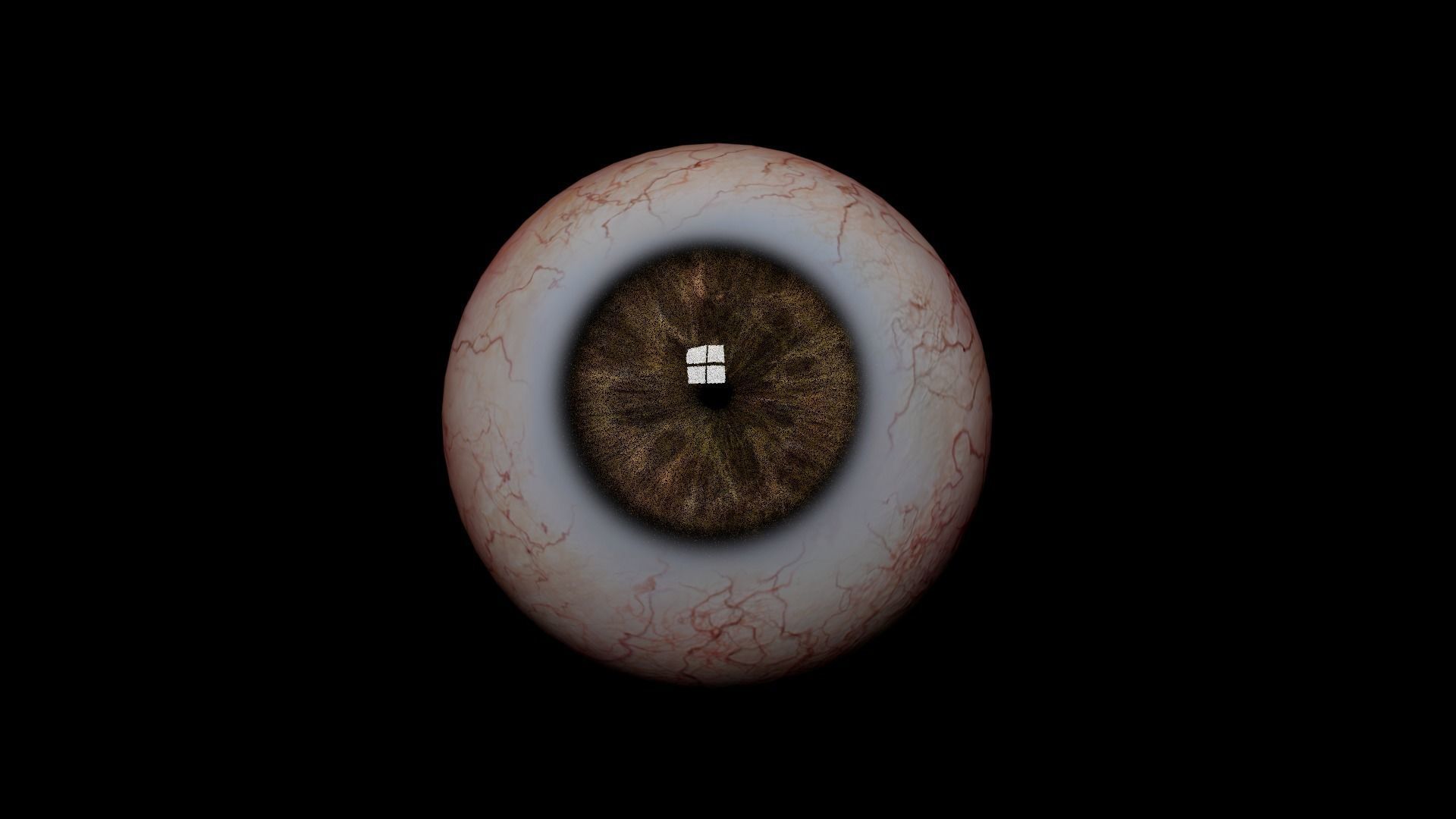 Realistic Human Eye 3D model  Low-poly 3D model_5