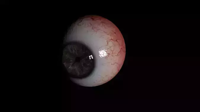 Realistic Human Eye 3D model 