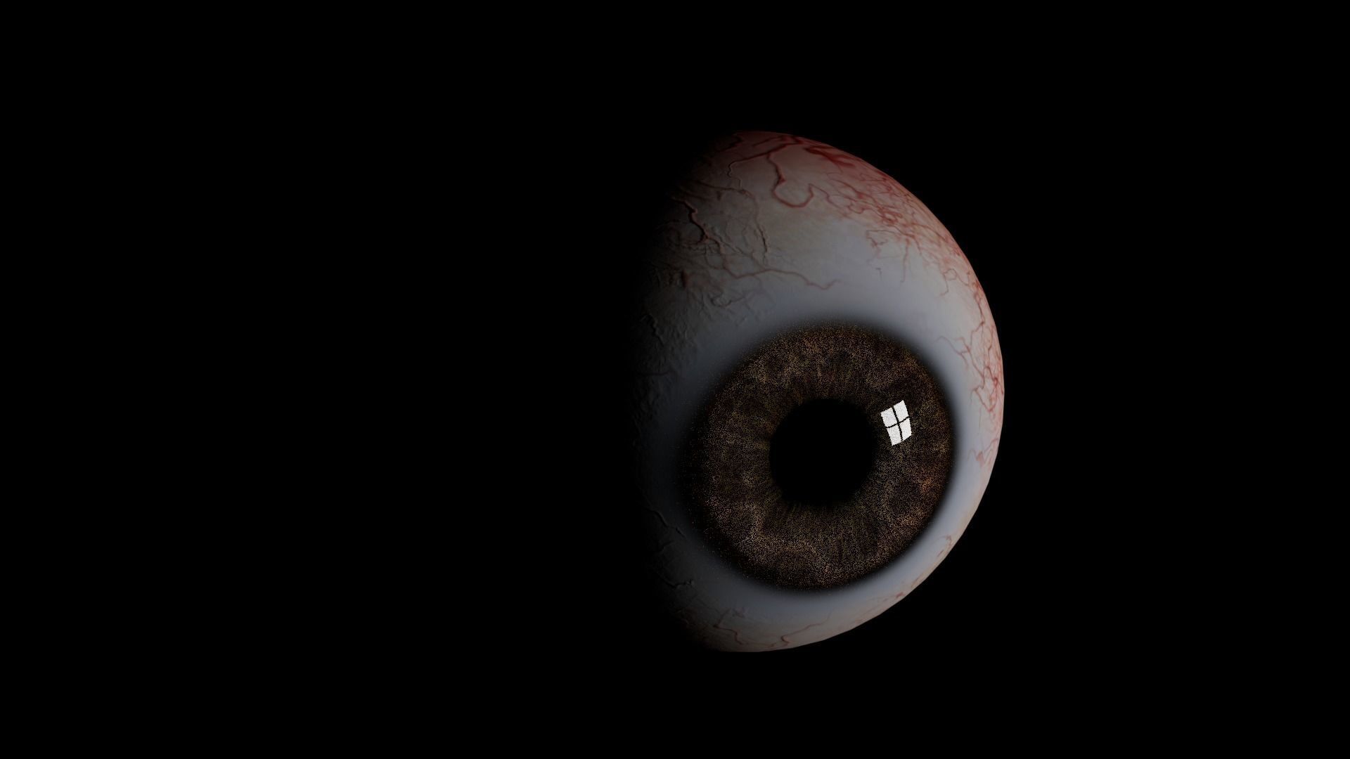 Realistic Human Eye 3D model  Low-poly 3D model_1