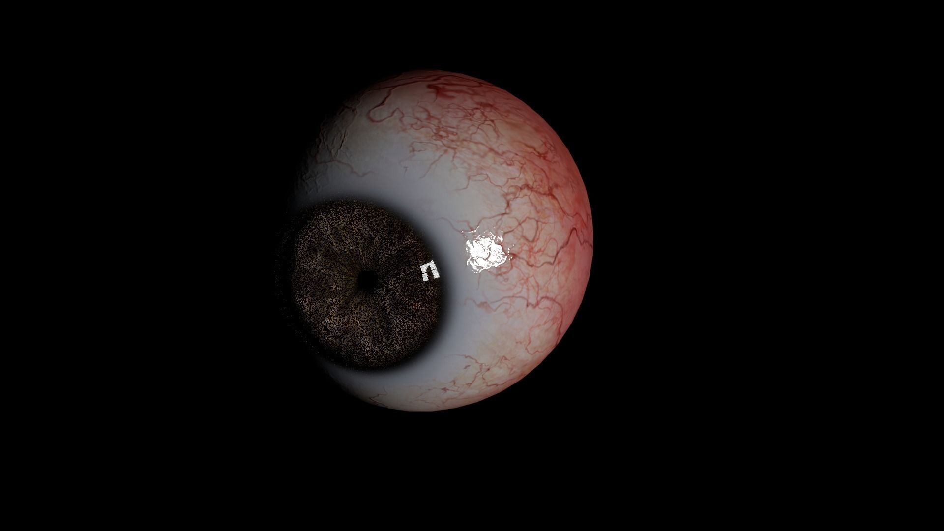 Realistic Human Eye 3D model  Low-poly 3D model_4
