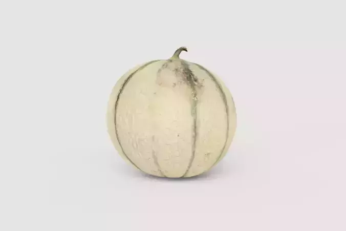 Melon photoscan Free low-poly 3D model