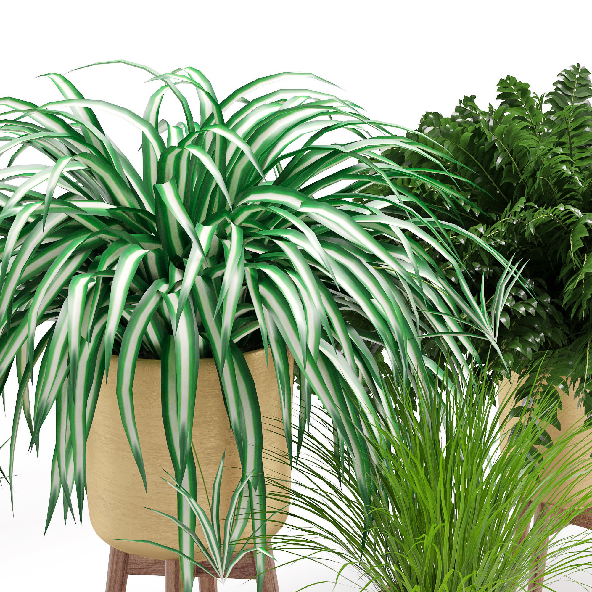 Houseplant 30 3D model_5