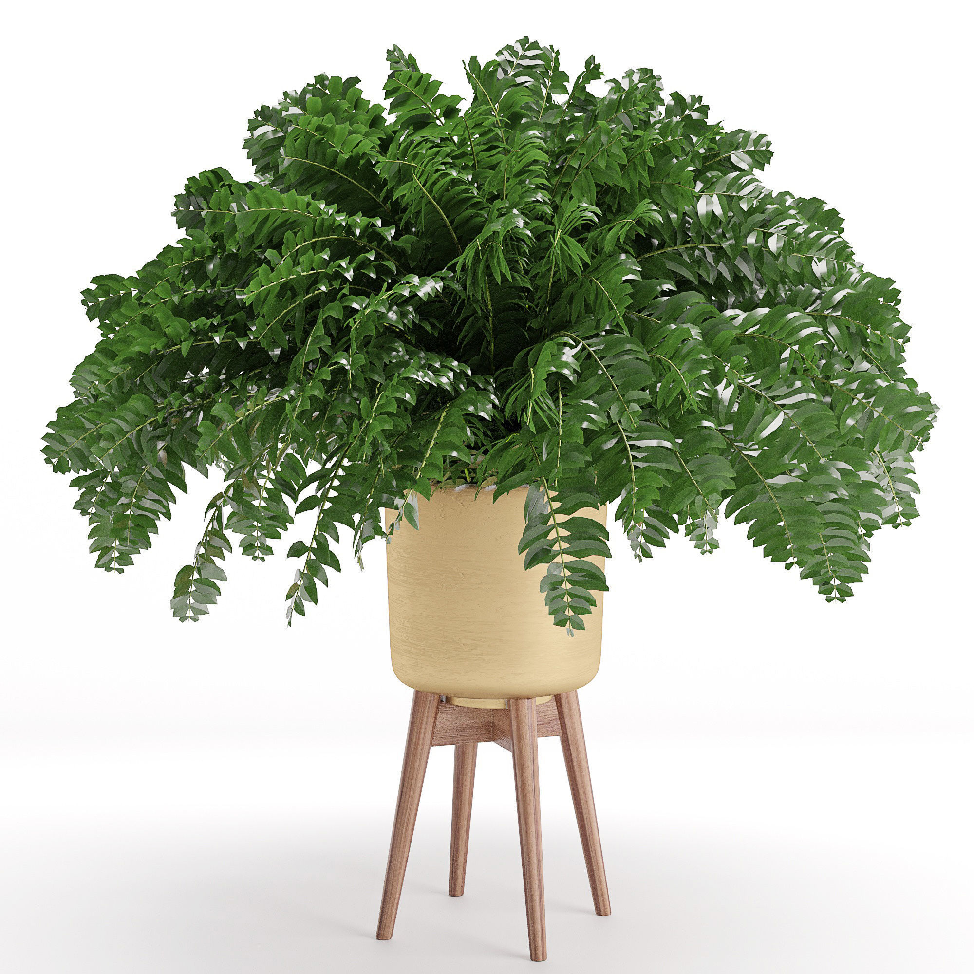 Houseplant 30 3D model_2