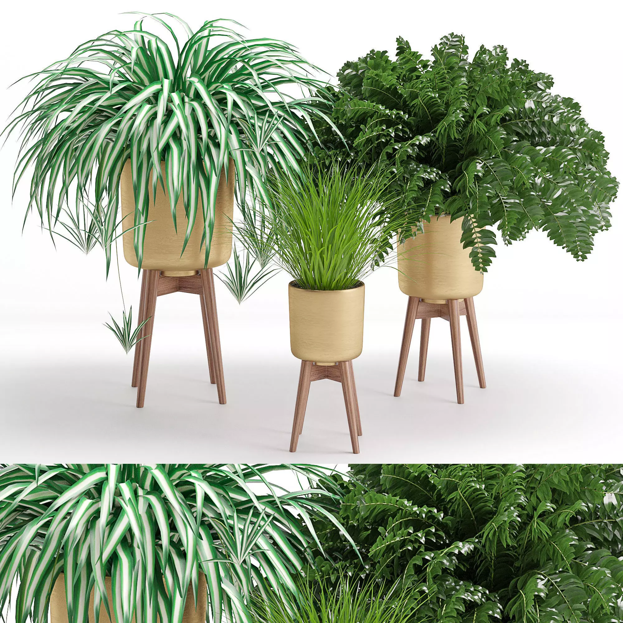 Houseplant 30 3D model_0