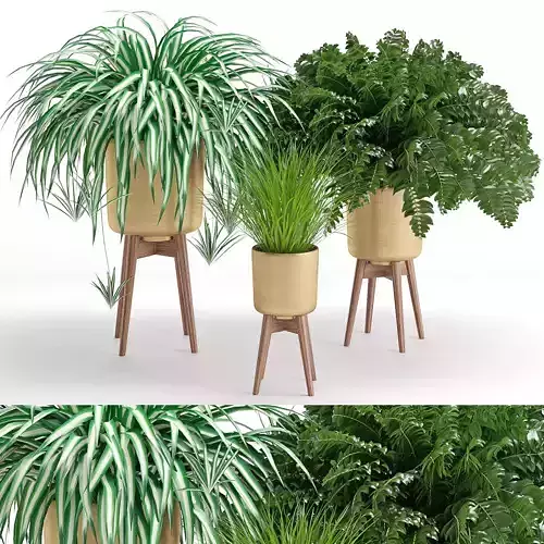 Houseplant 30 3D model