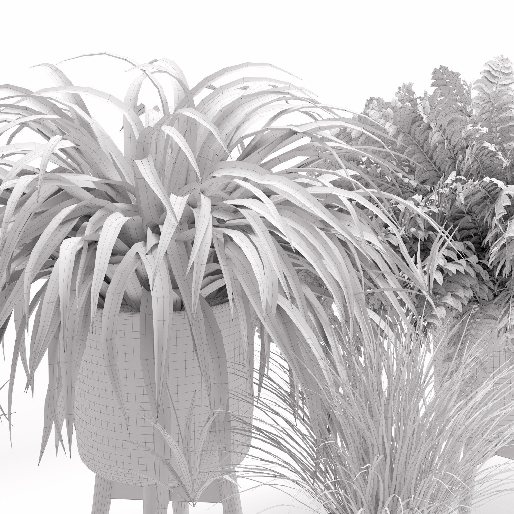 Houseplant 30 3D model_4