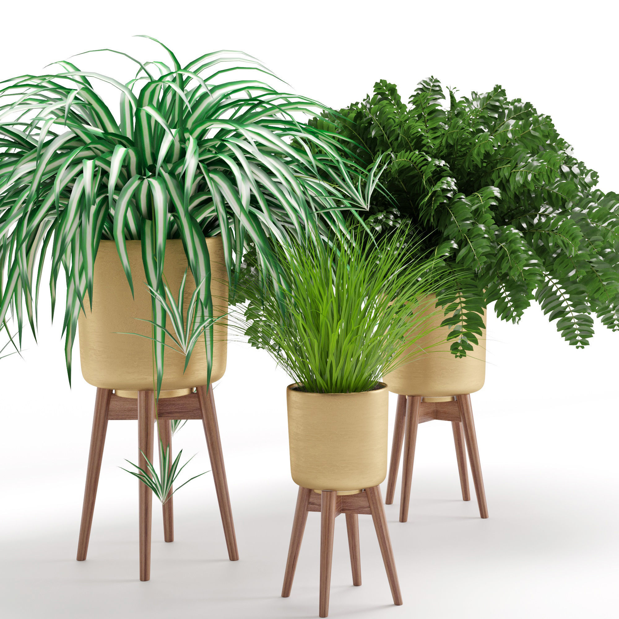 Houseplant 30 3D model_1